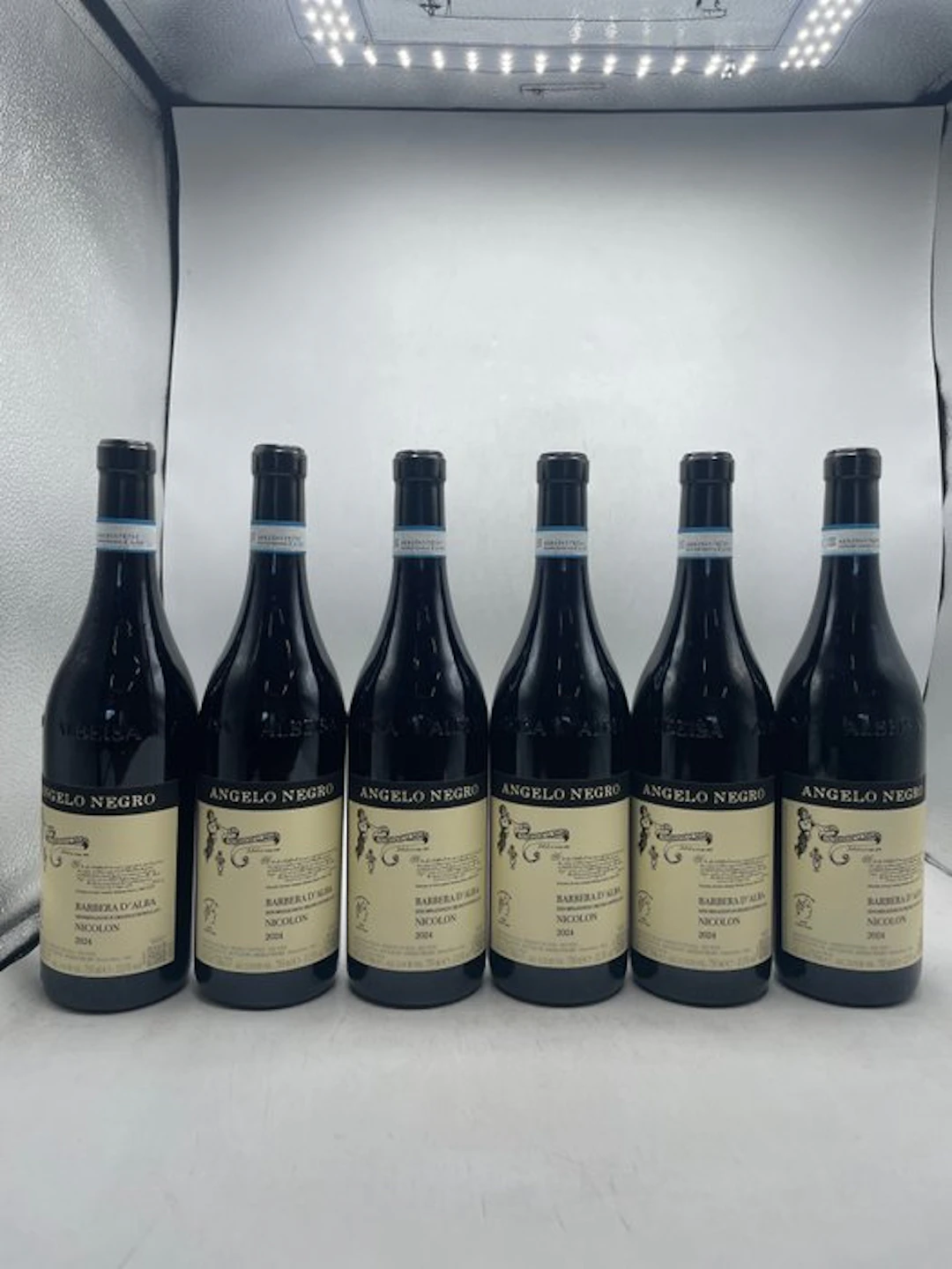 2024 Angelo Negro Nicolon Barbera D'Alba - Piedmont DOC - 6 Bottles (0.75L)