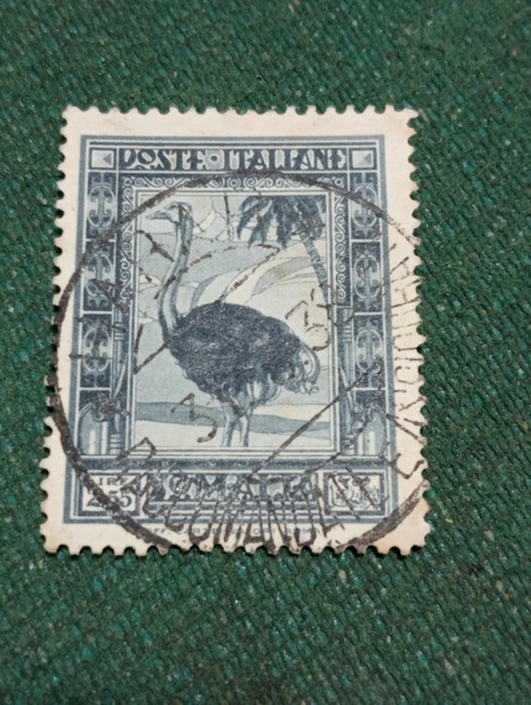 Italian Somalia 1934 - L 2.55 - tooth 14 - Sassone 226