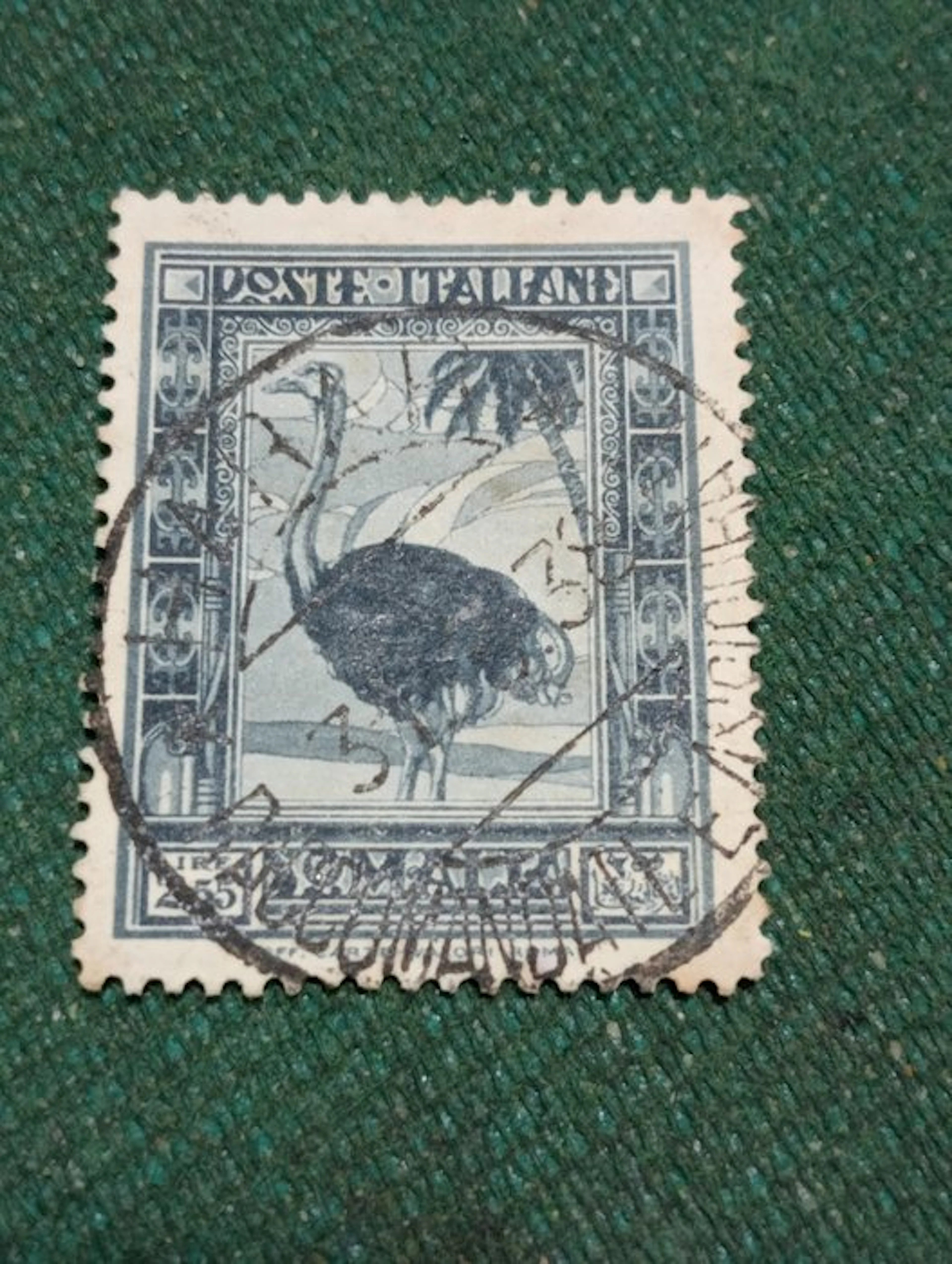 Italian Somalia 1934 - L 2.55 - tooth 14 - Sassone 226