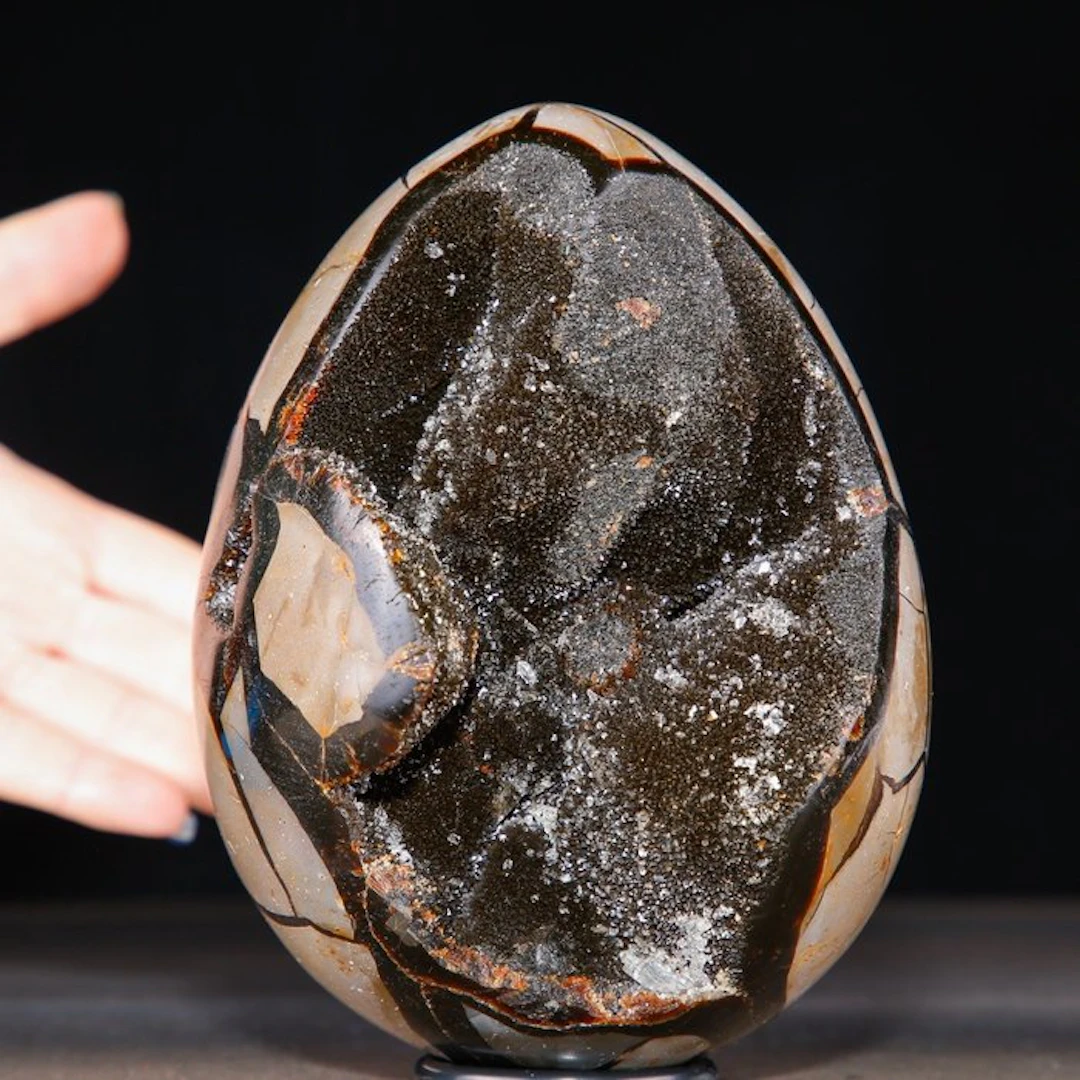 Madagascar Septarian Egg Geode - Deep Cavity of Sparkling...