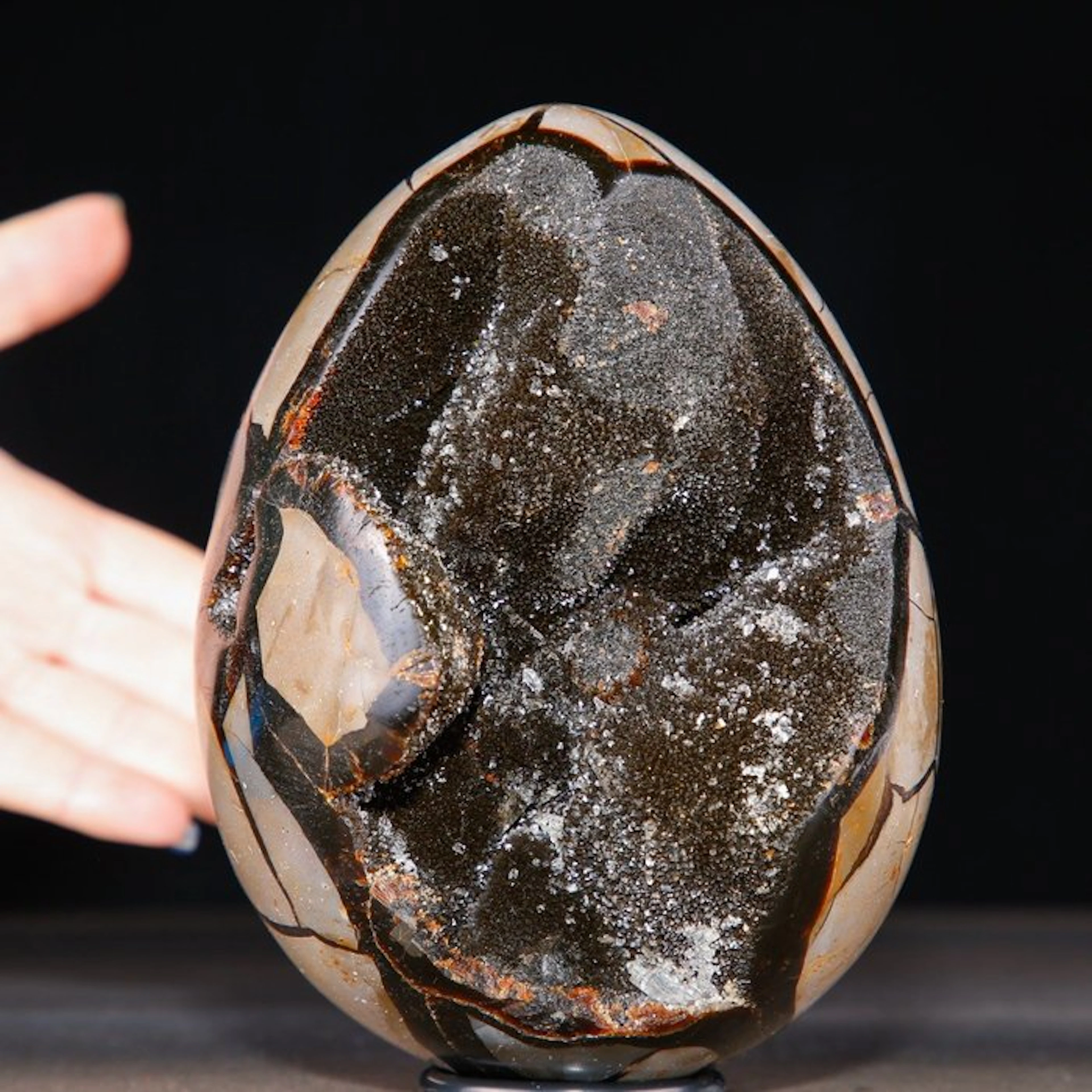 Madagascar Septarian Egg Geode - Deep Cavity of Sparkling...