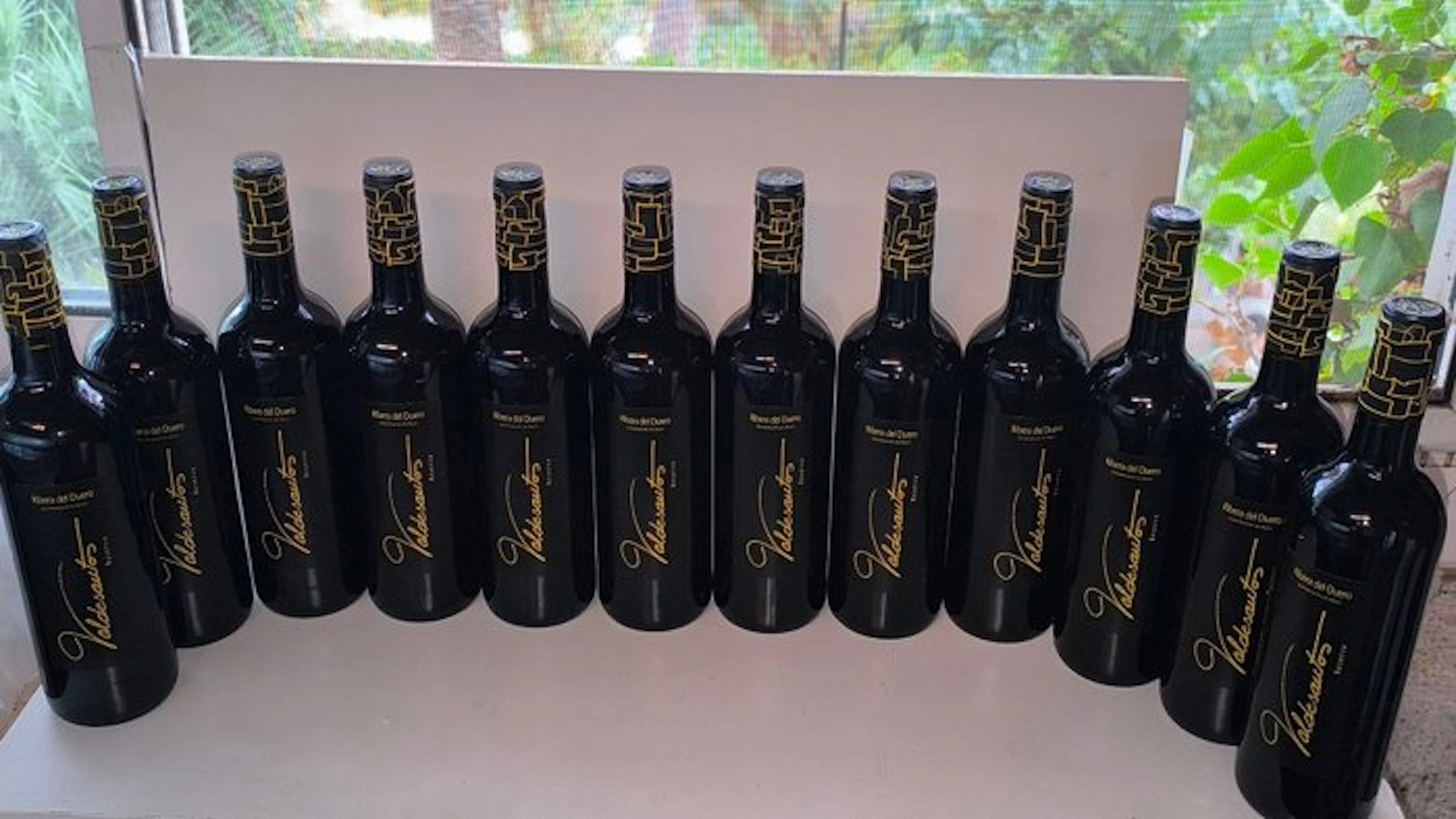 2016 Bodegas Prado de Olmedo
