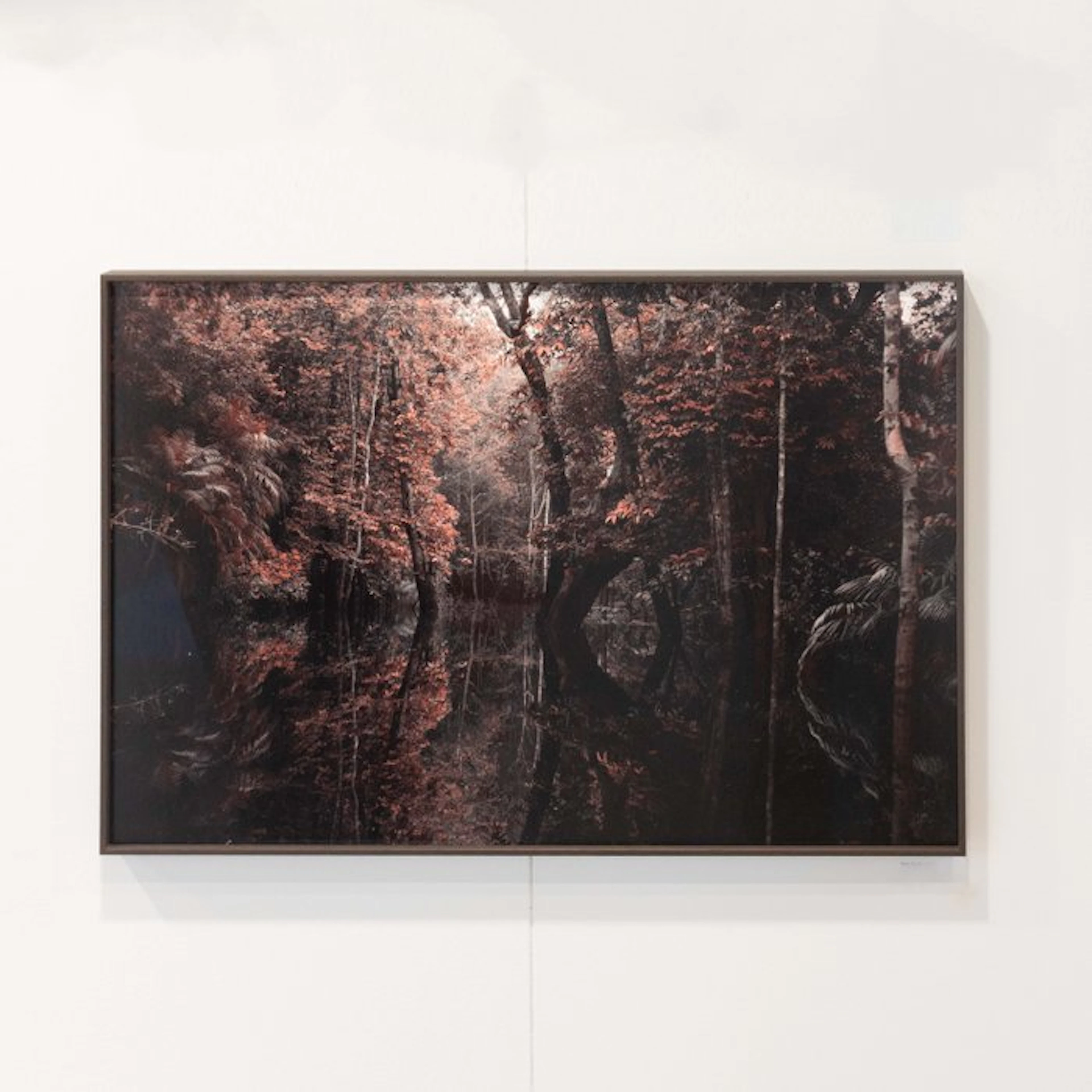 Pieter Bas Bouwman - Down The Rabbit Hole - XL