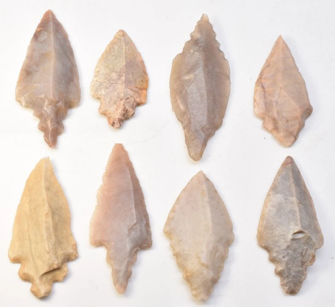 Neolithic Jasper, Flint 8 Amazing Arrowheads 3.5 cm to 5 cm (No reserve price)