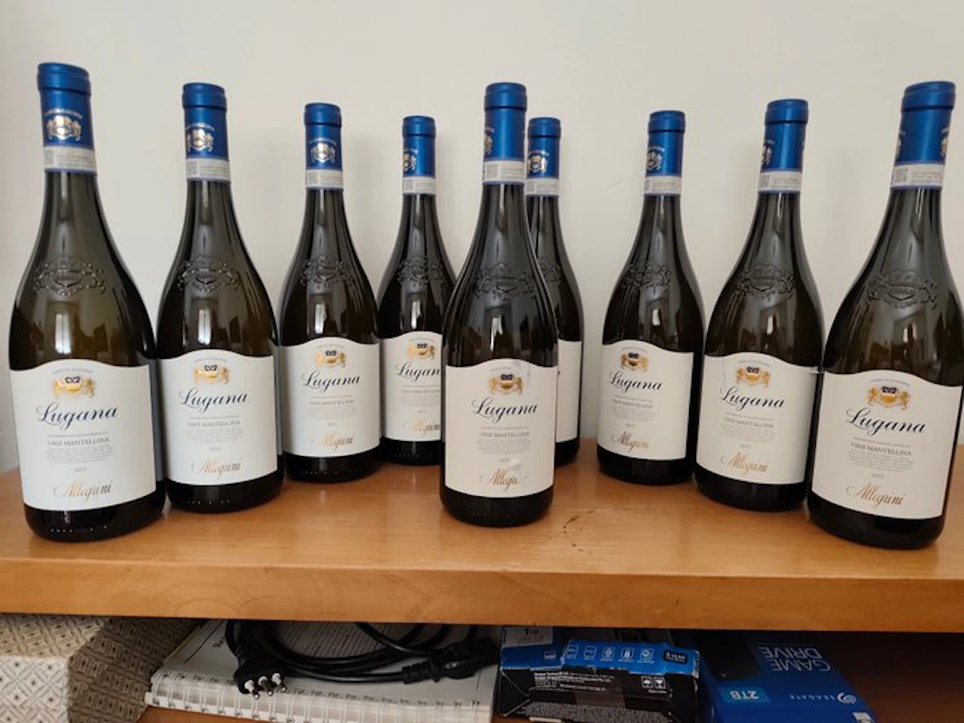 2025 Allegrini Lugana oasi Mantellina - Veneto IGT - 9 Bottles (0.75L)