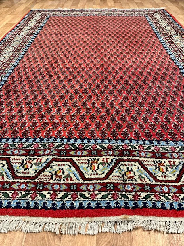 Sarough Mir - Rug - 245 cm - 170 cm