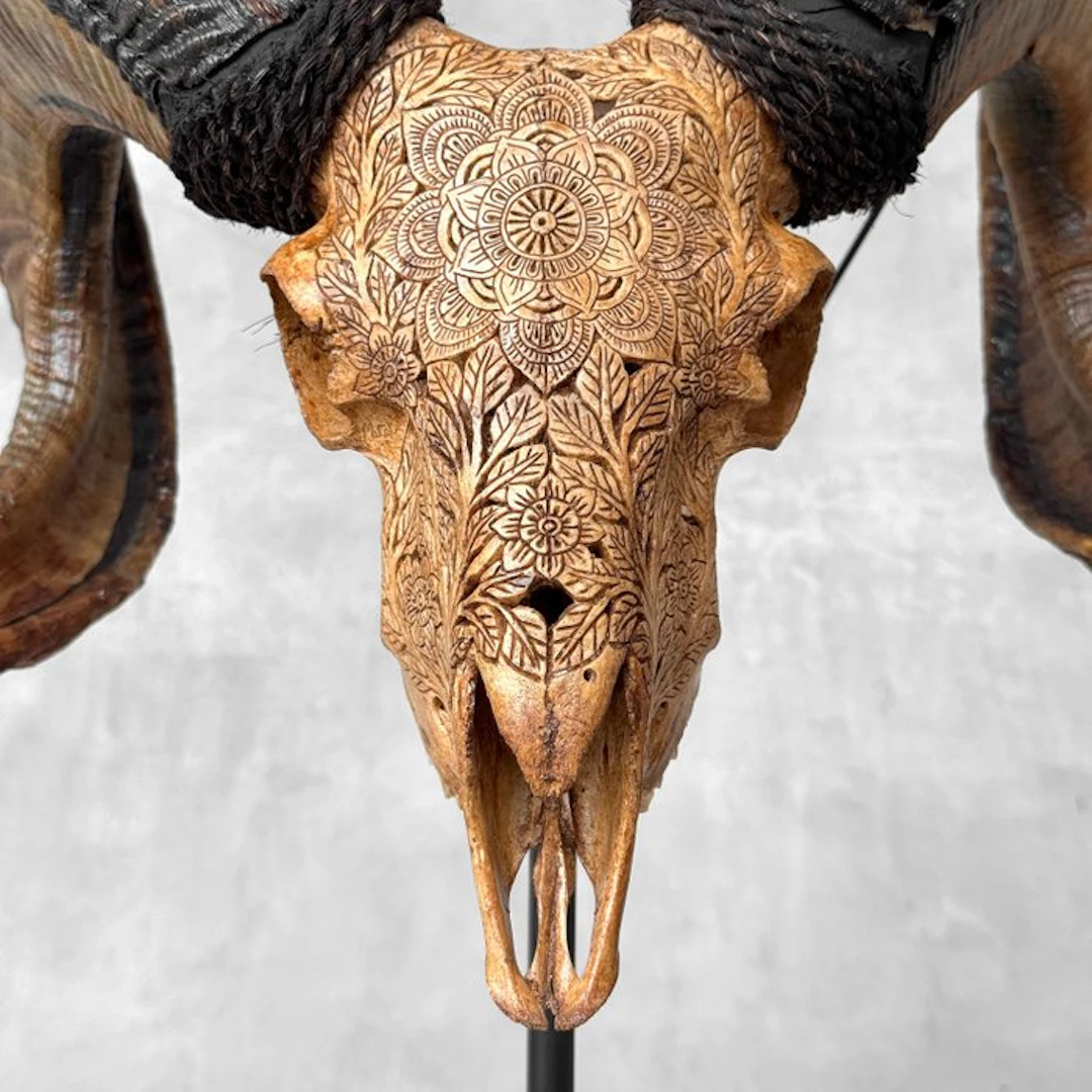 NO RESERVE PRICE - C - Brown Carved Ram Skull on stand...