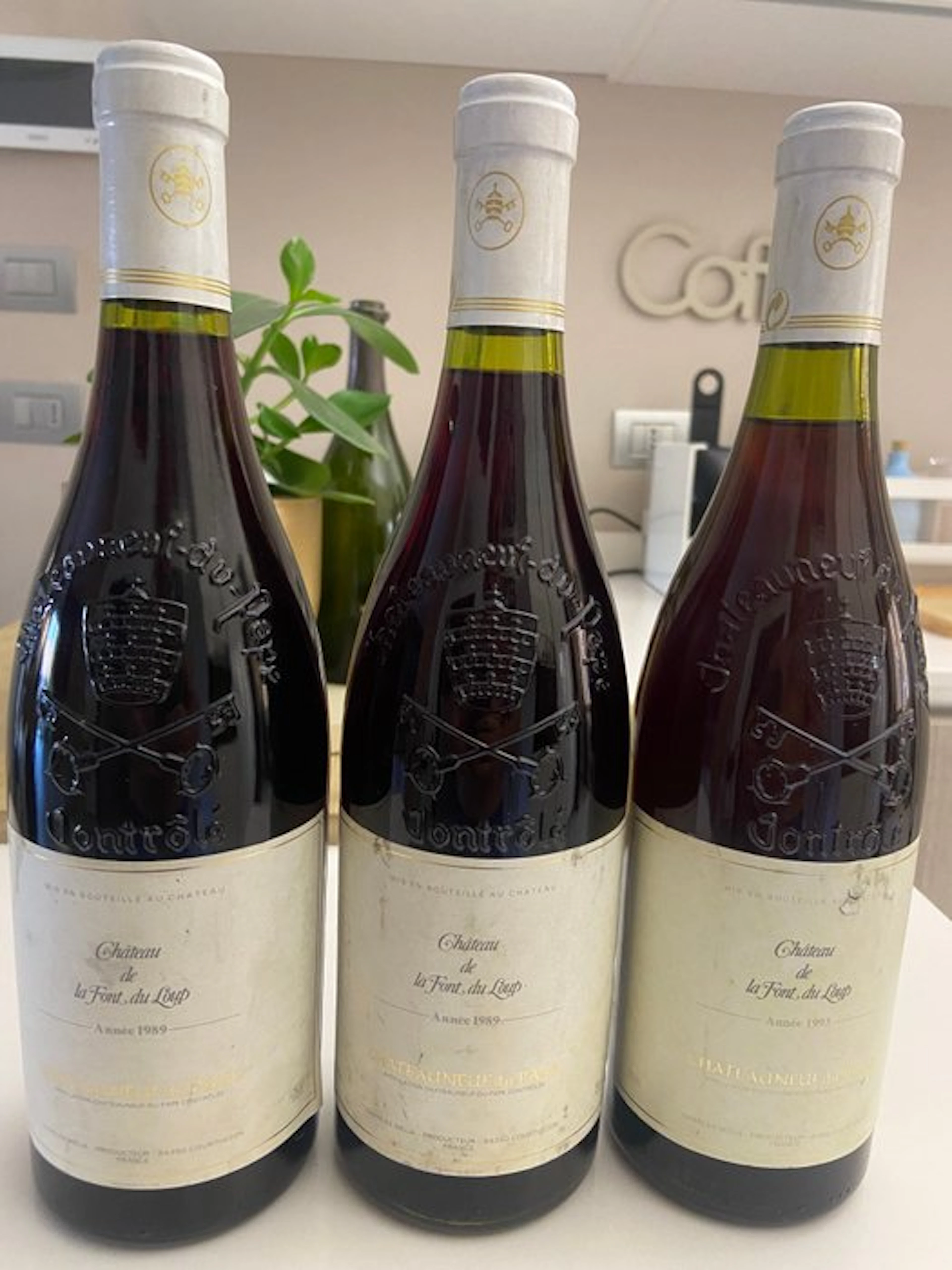 1989 Château de la Font du Loup - Châteauneuf-du-Pape - 3 Bottles (0.75L)