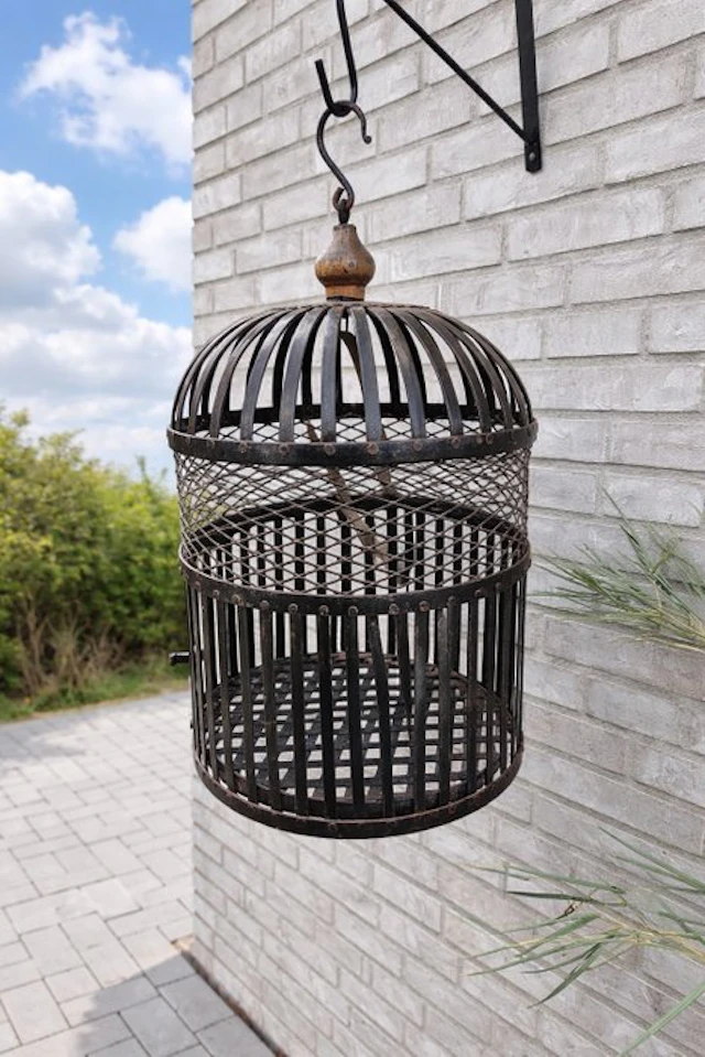 Birdcage - Metal - heavy metal birdcage