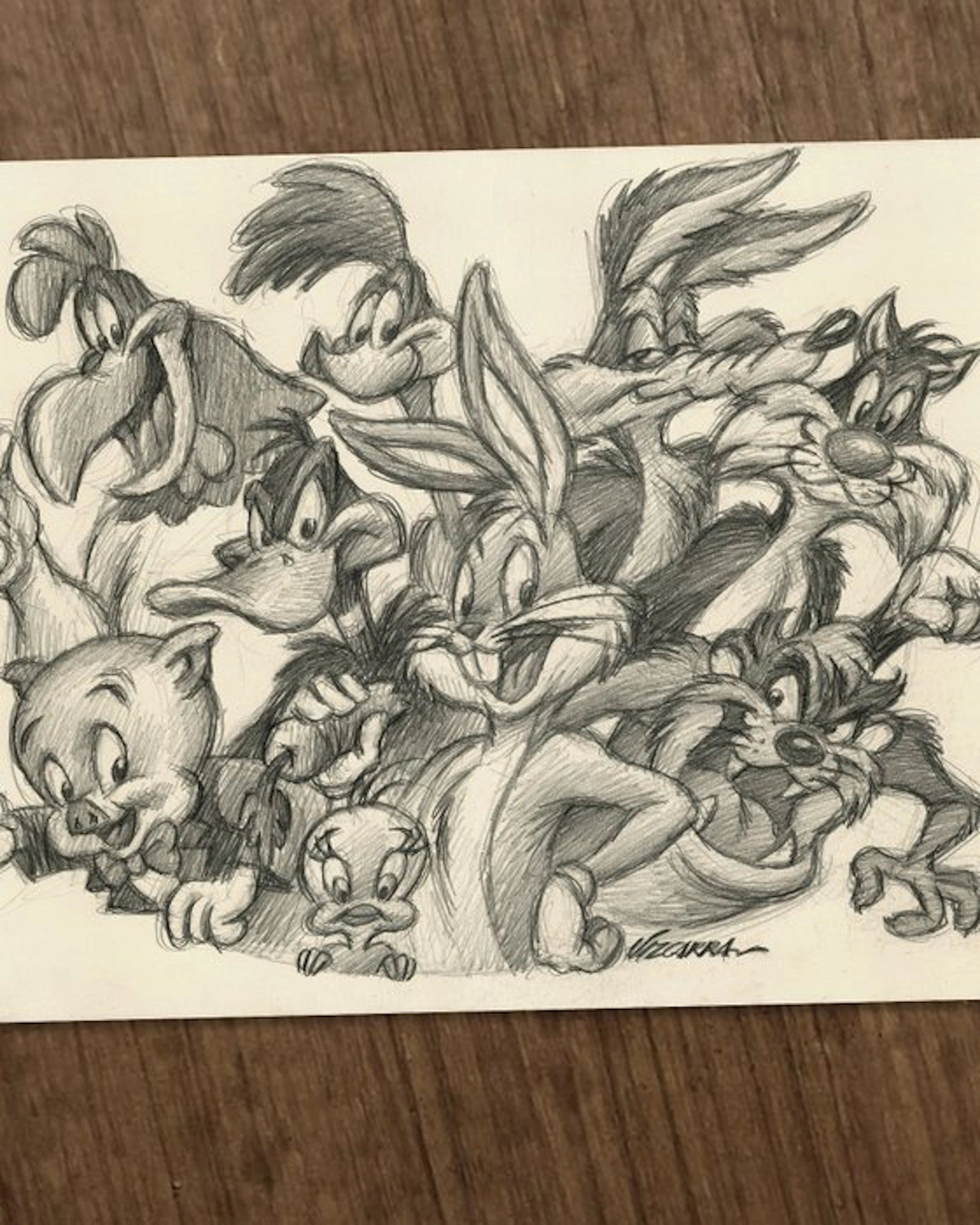 Joan Vizcarra - Looney Tunes Family Portrait - Hand...