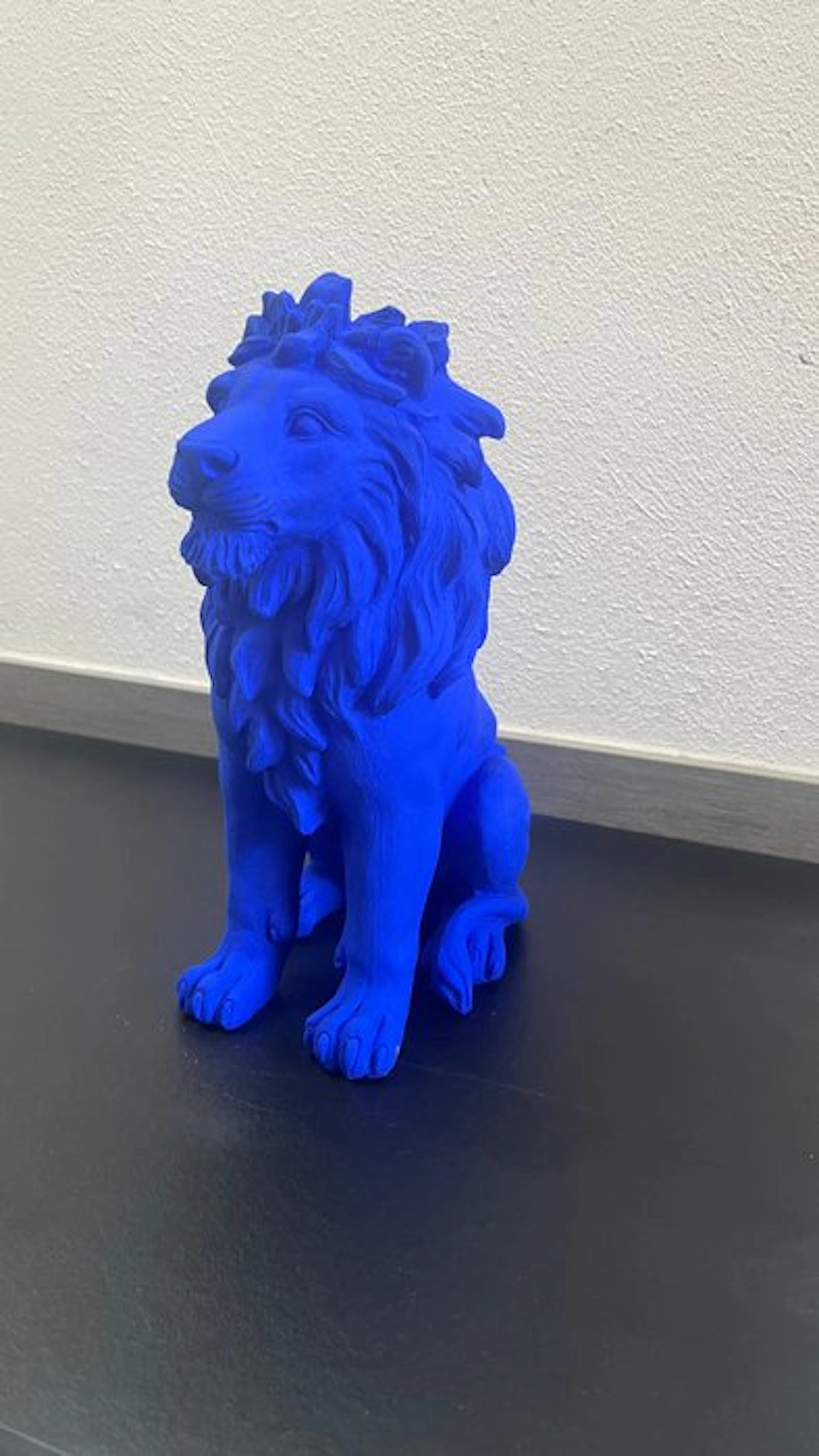 D - Uli - " Lion" Blue