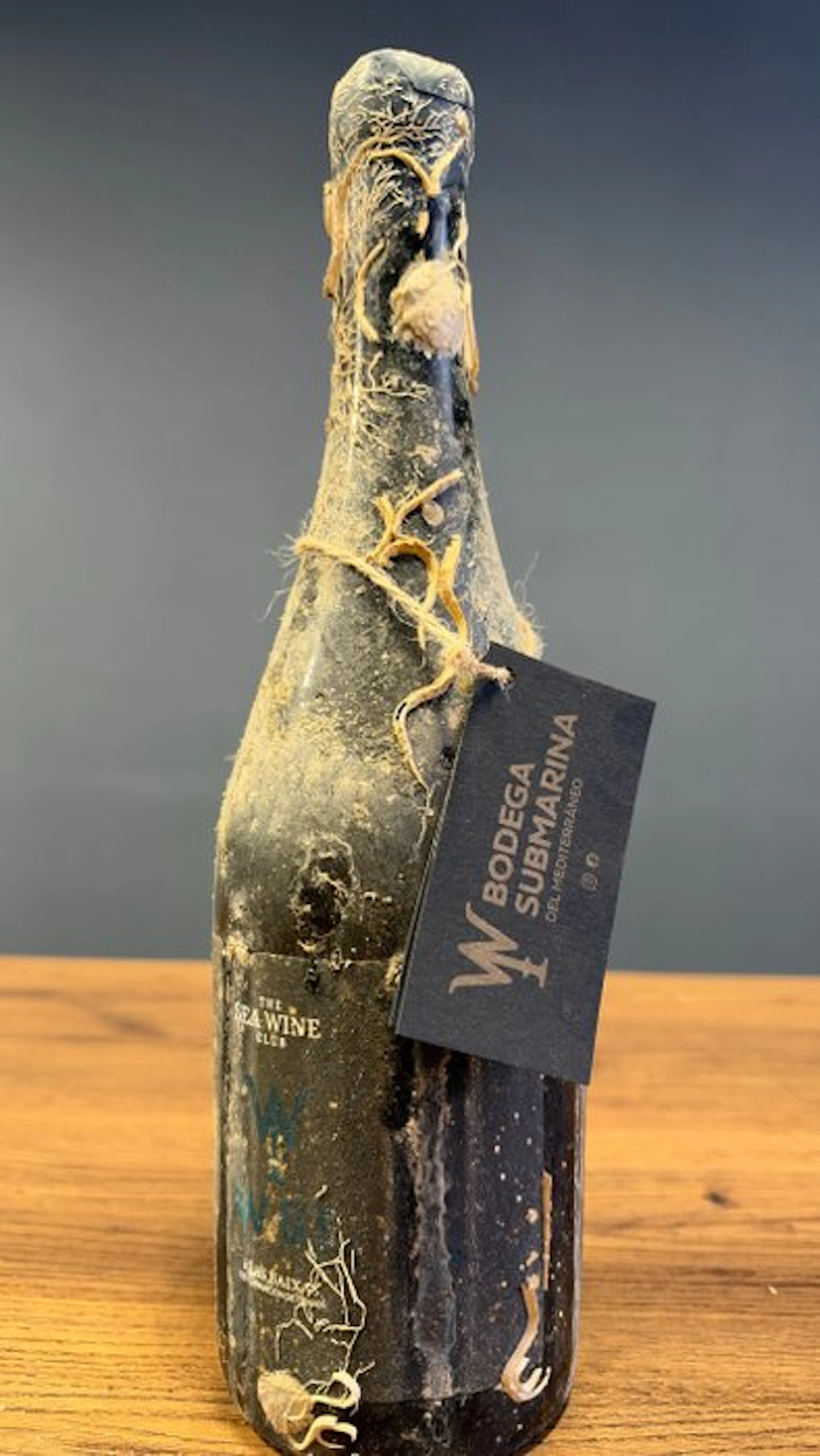 2022 Bodega Submarina del Mediterráneo - The Sea Wine Club