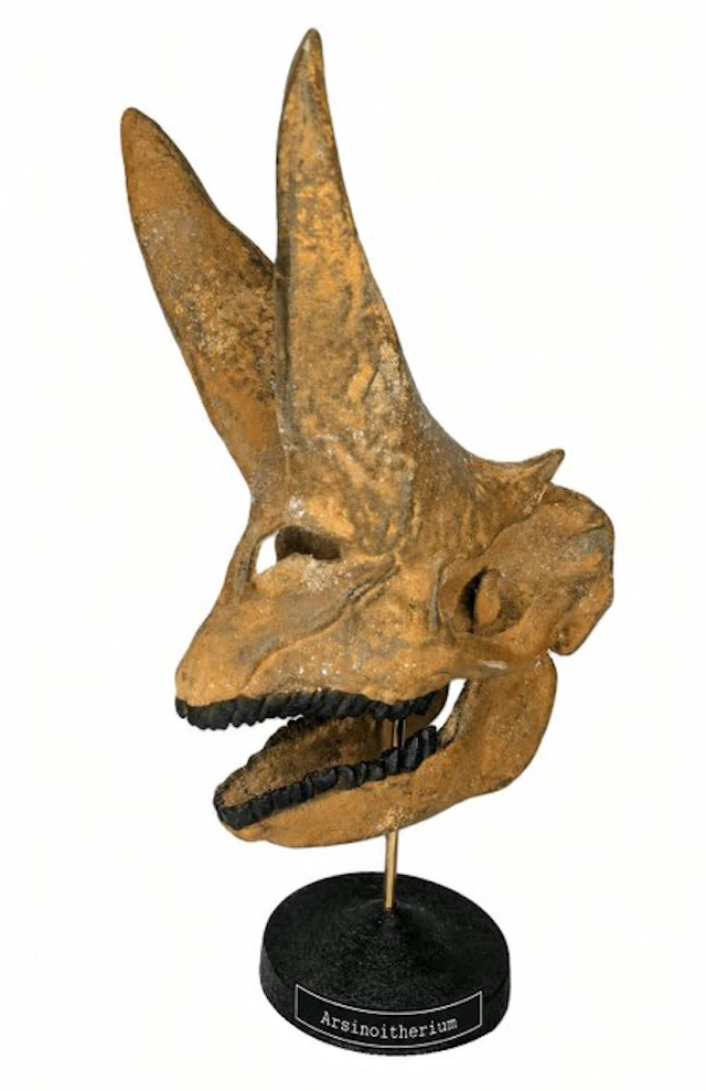 Fossil skull - Arsinoitherium - Museum-Grade Replica - 30 cm - 24 cm