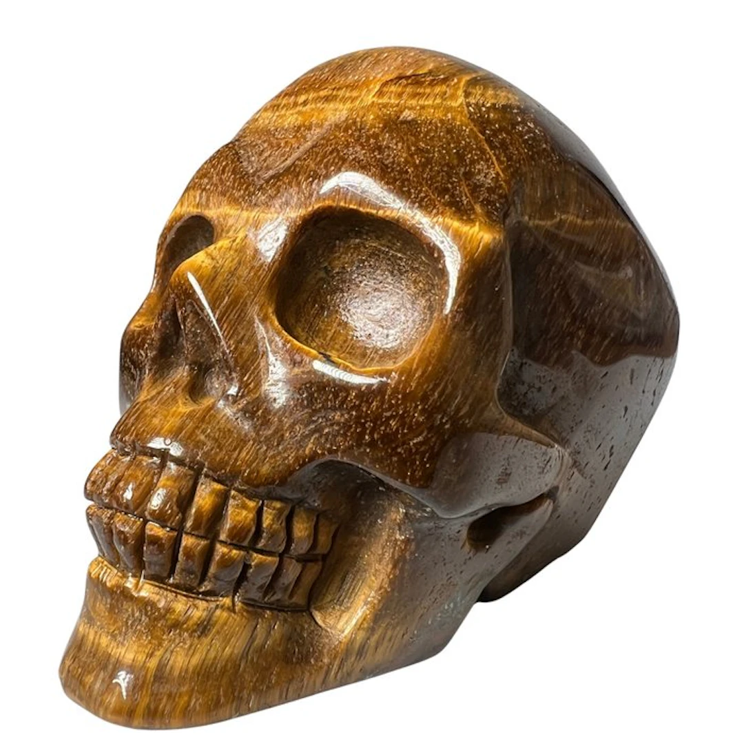 Premium Tiger's Eye Skull Carving - Height: 50 mm - Width: 75 mm- 239 g - (1)