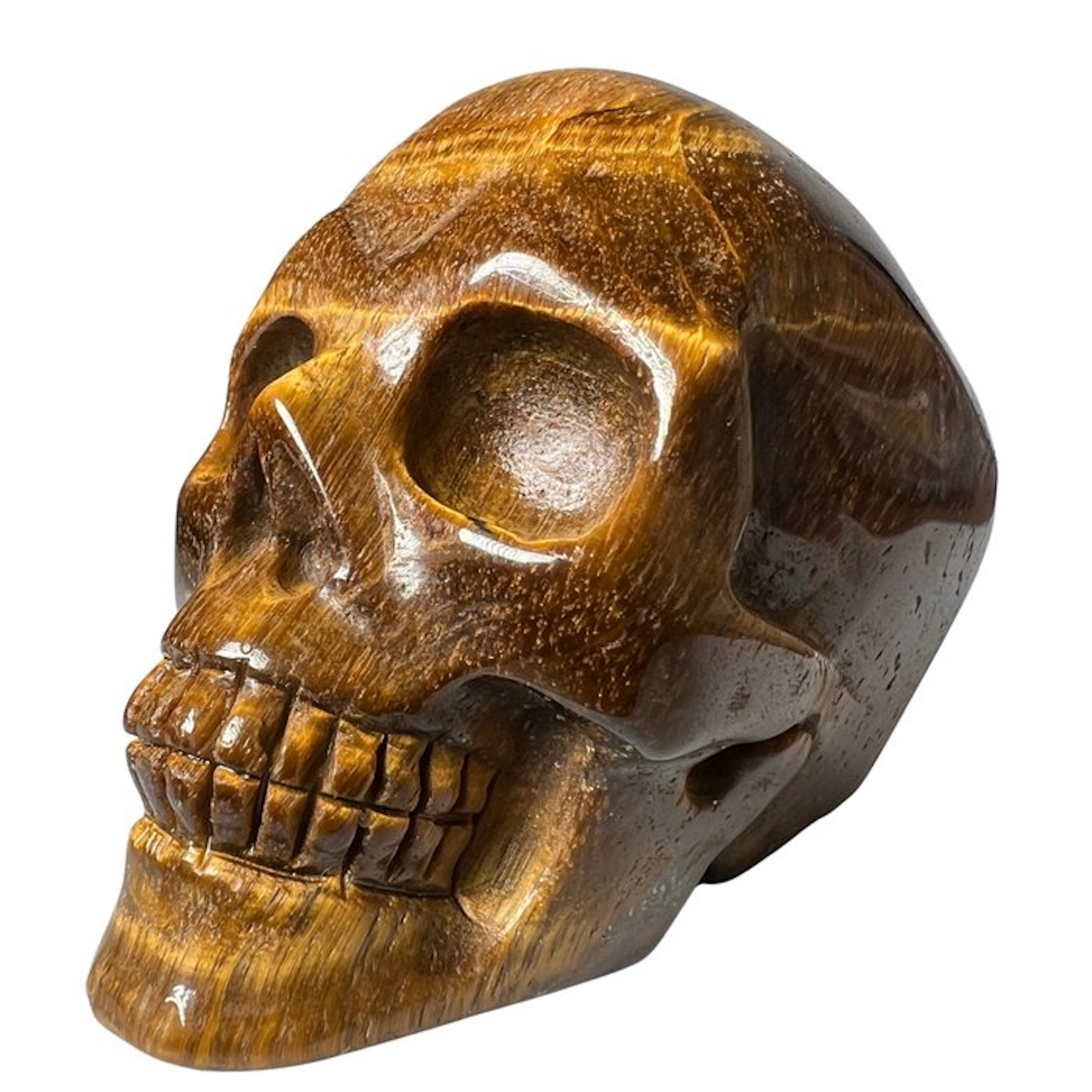 Premium Tiger's Eye Skull Carving - Height: 50 mm - Width: 75 mm- 239 g - (1)
