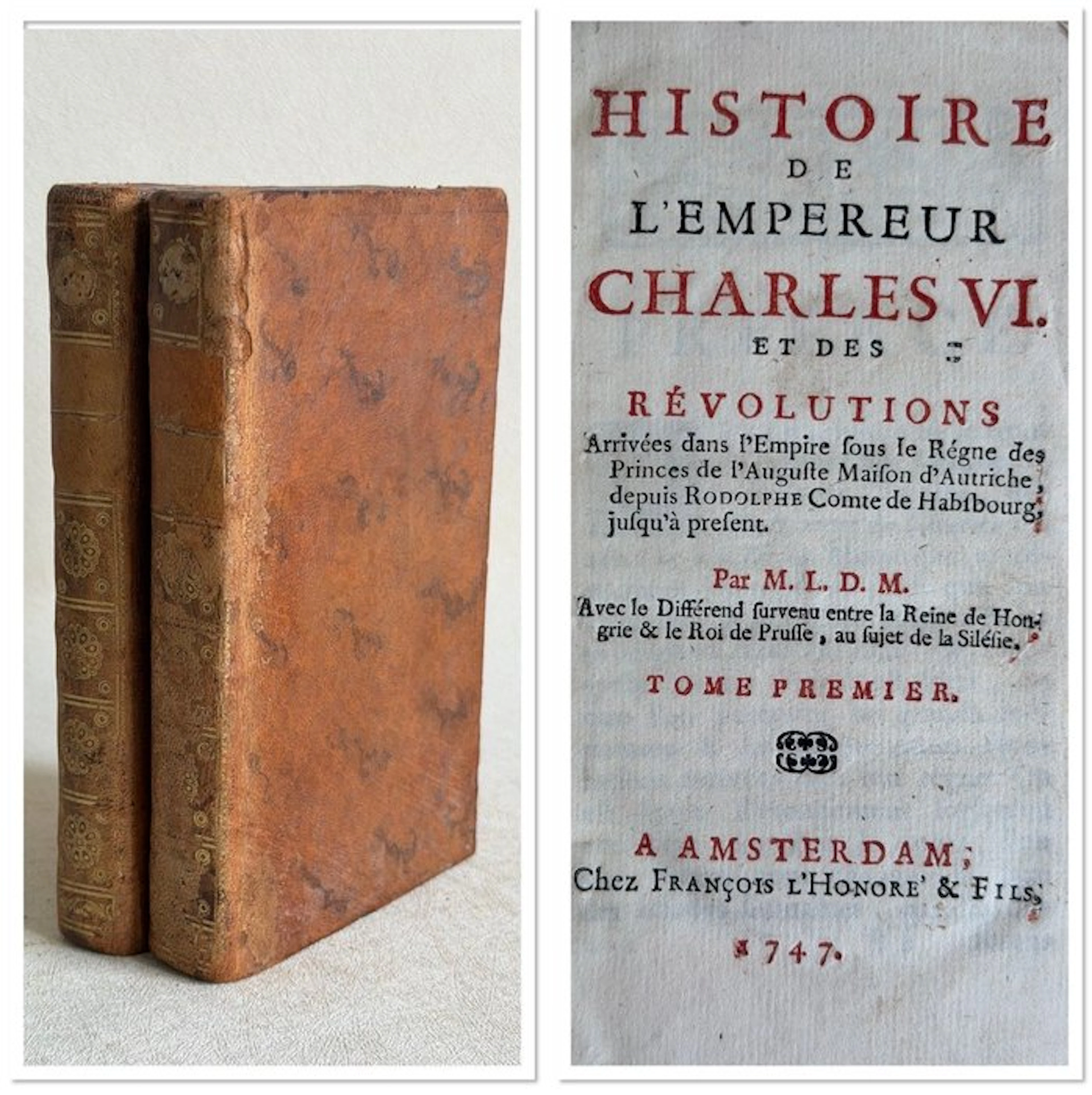 Le Maître de la Martiniere - Histoire de l’empereur Charles VI - 1747