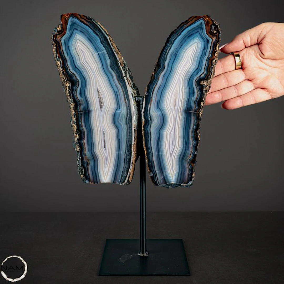 Agate Wing on Stand – Fascinating blue banding in natural...