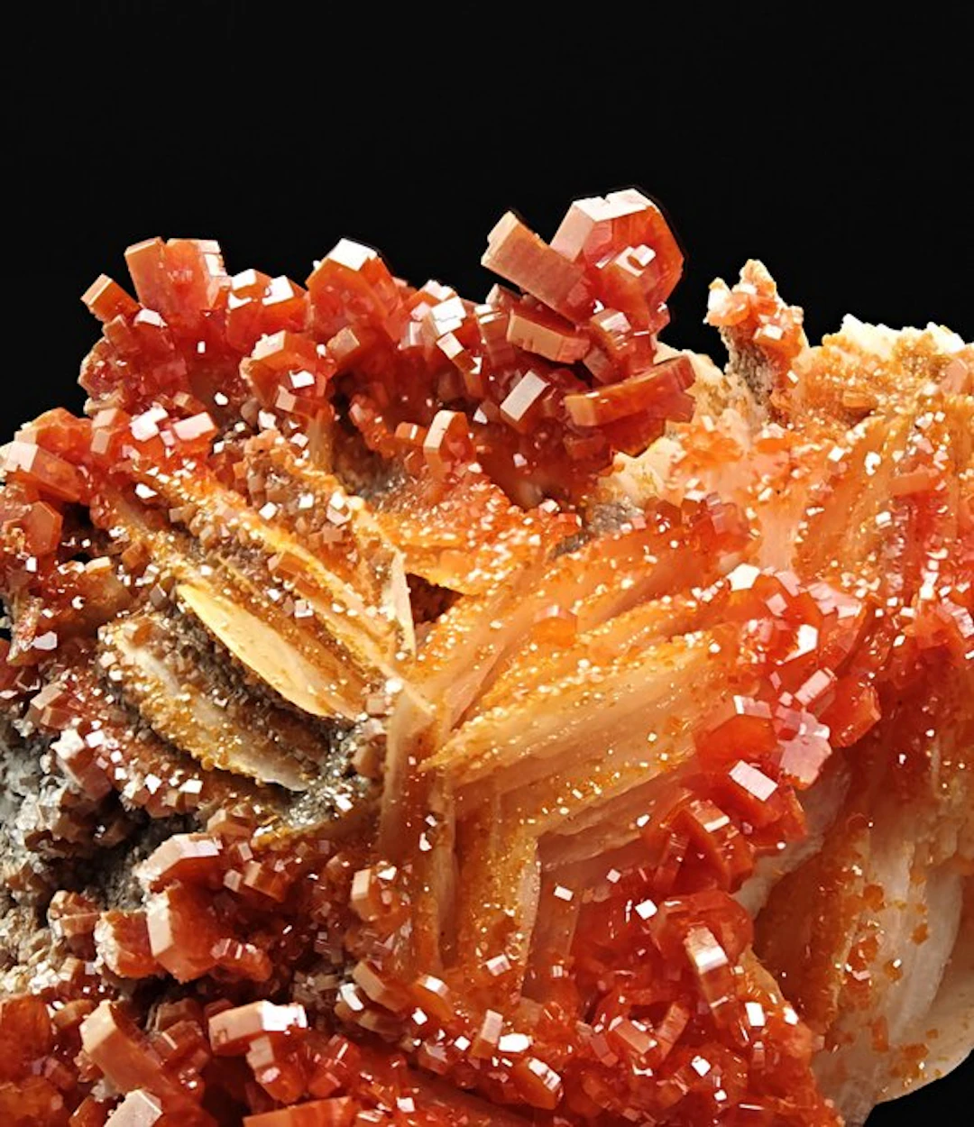 Blood-red vanadinite on white barite Crystals on matrix...