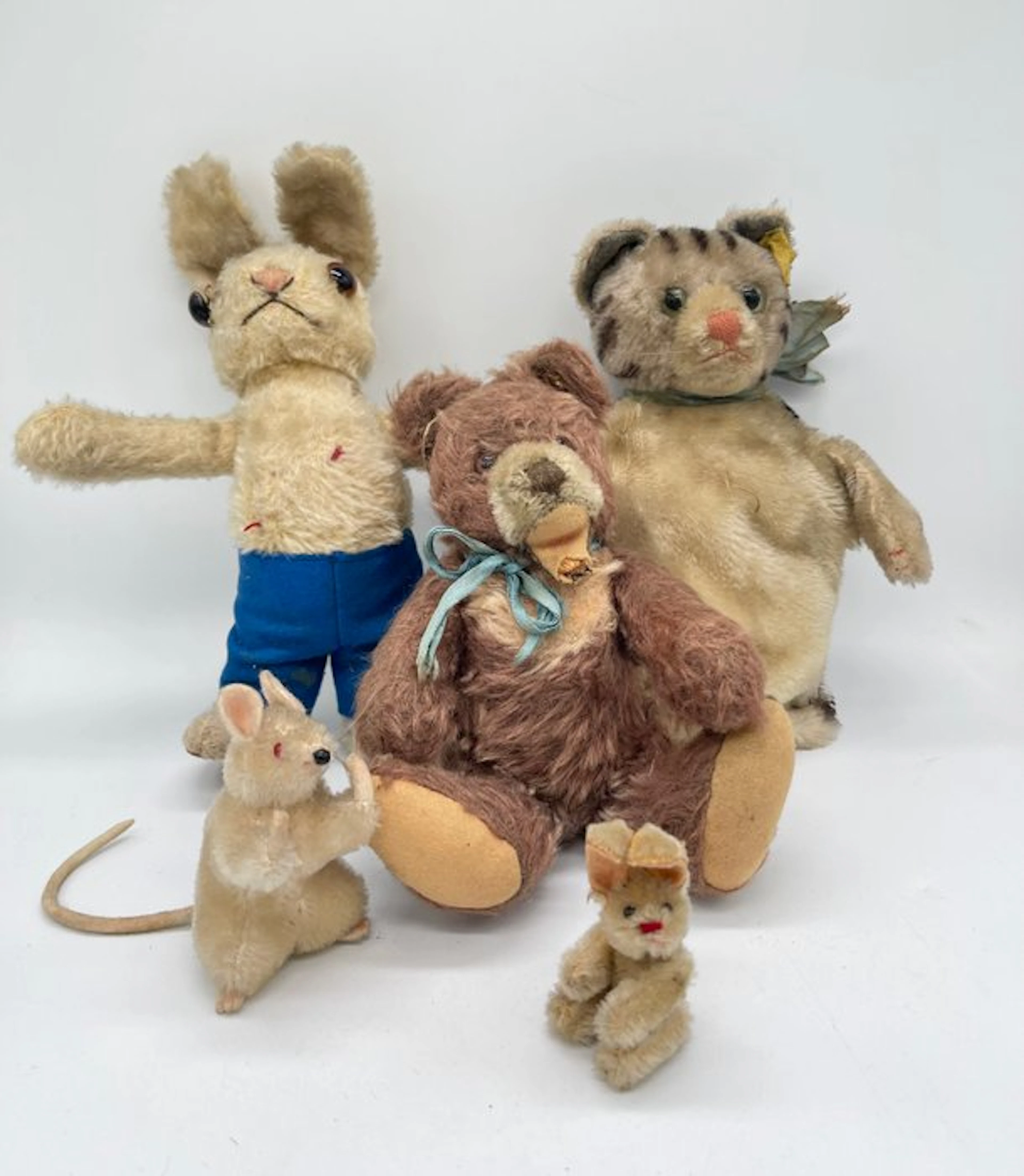 Steiff - Teddy bear Collection of Steiff animals - 1950-1960 - Germany