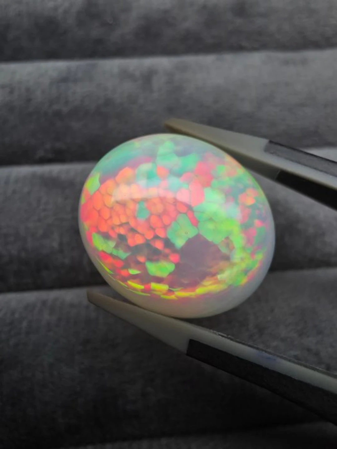 White, Multicolour Opal - 18.61 ct - Antwerp Laboratory...