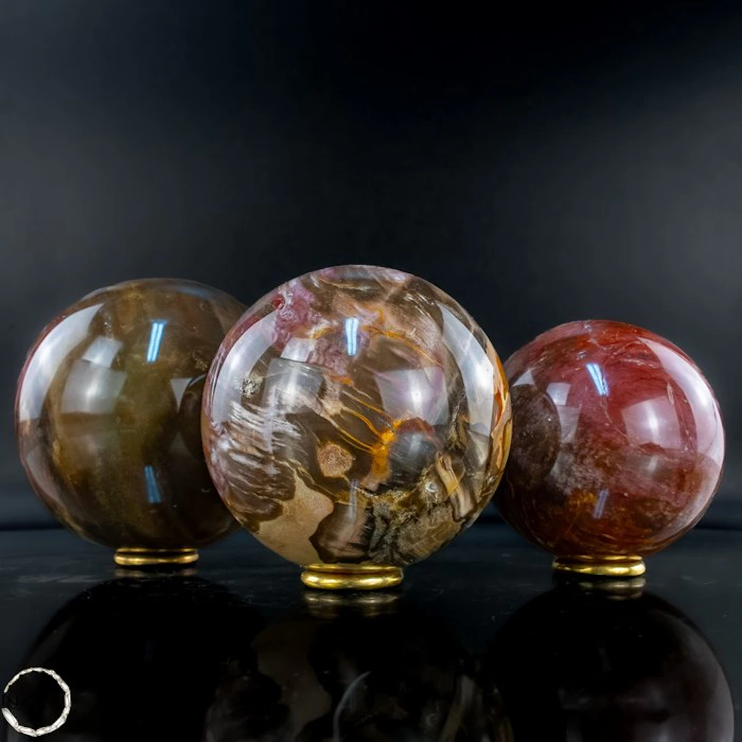 Exclusive set of petrified wood from Madagascar –...