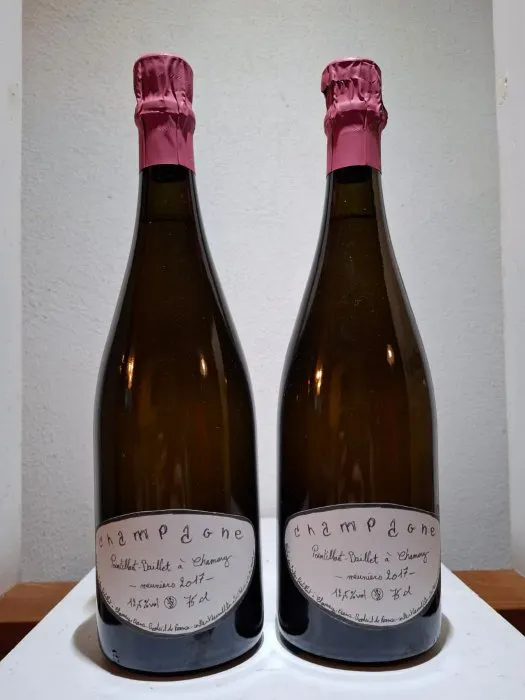 2017 Pointillart-Baillet, Champagne - Champagne - 2 Bottle (0.75L)