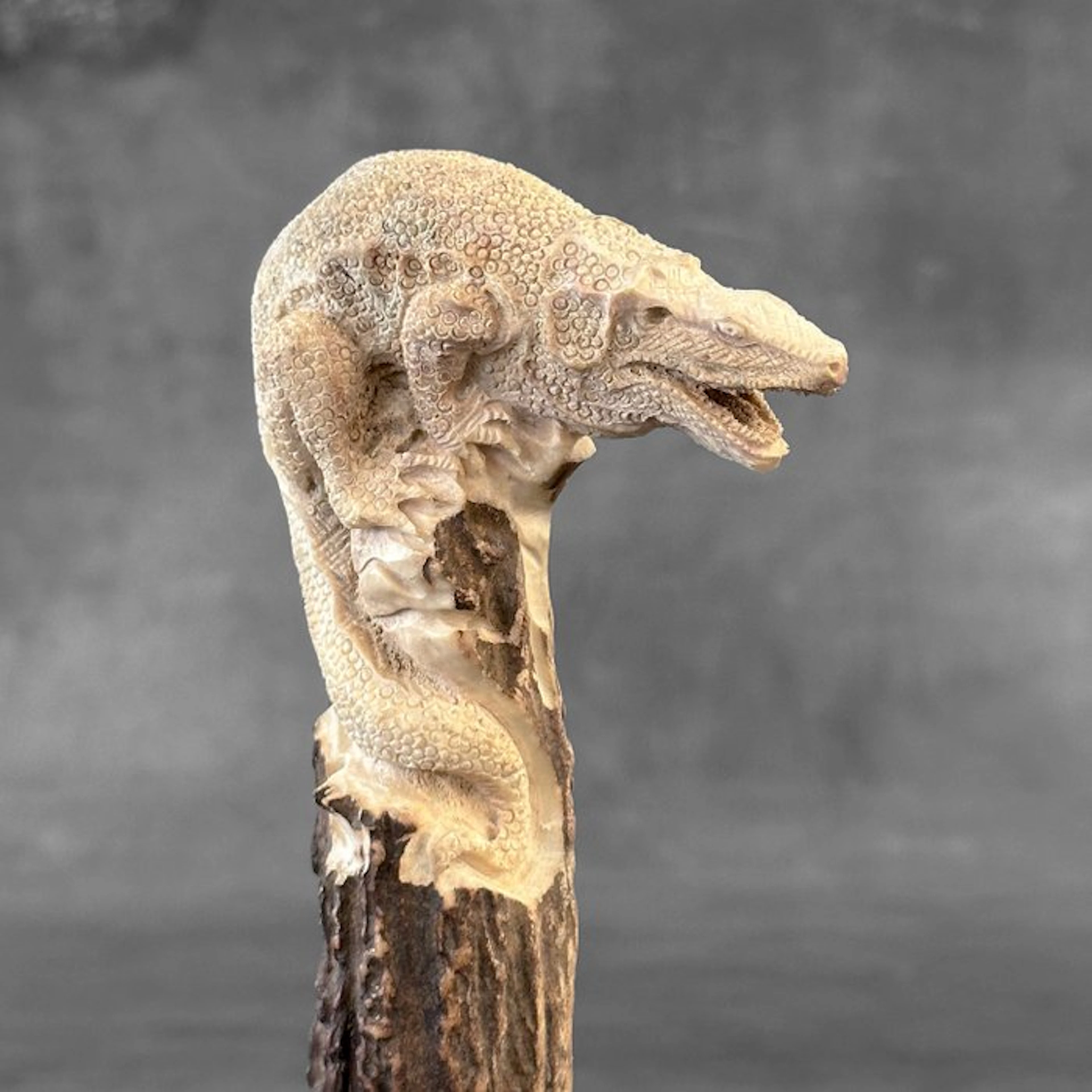 Carving, NO RESERVE PRICE - Stunning Komodo carving from...