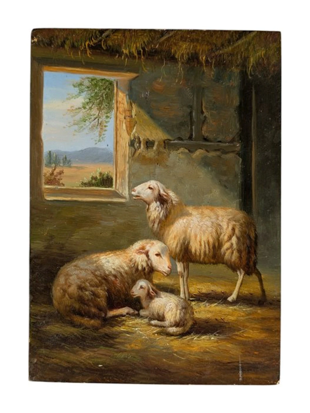 / - Sheeps