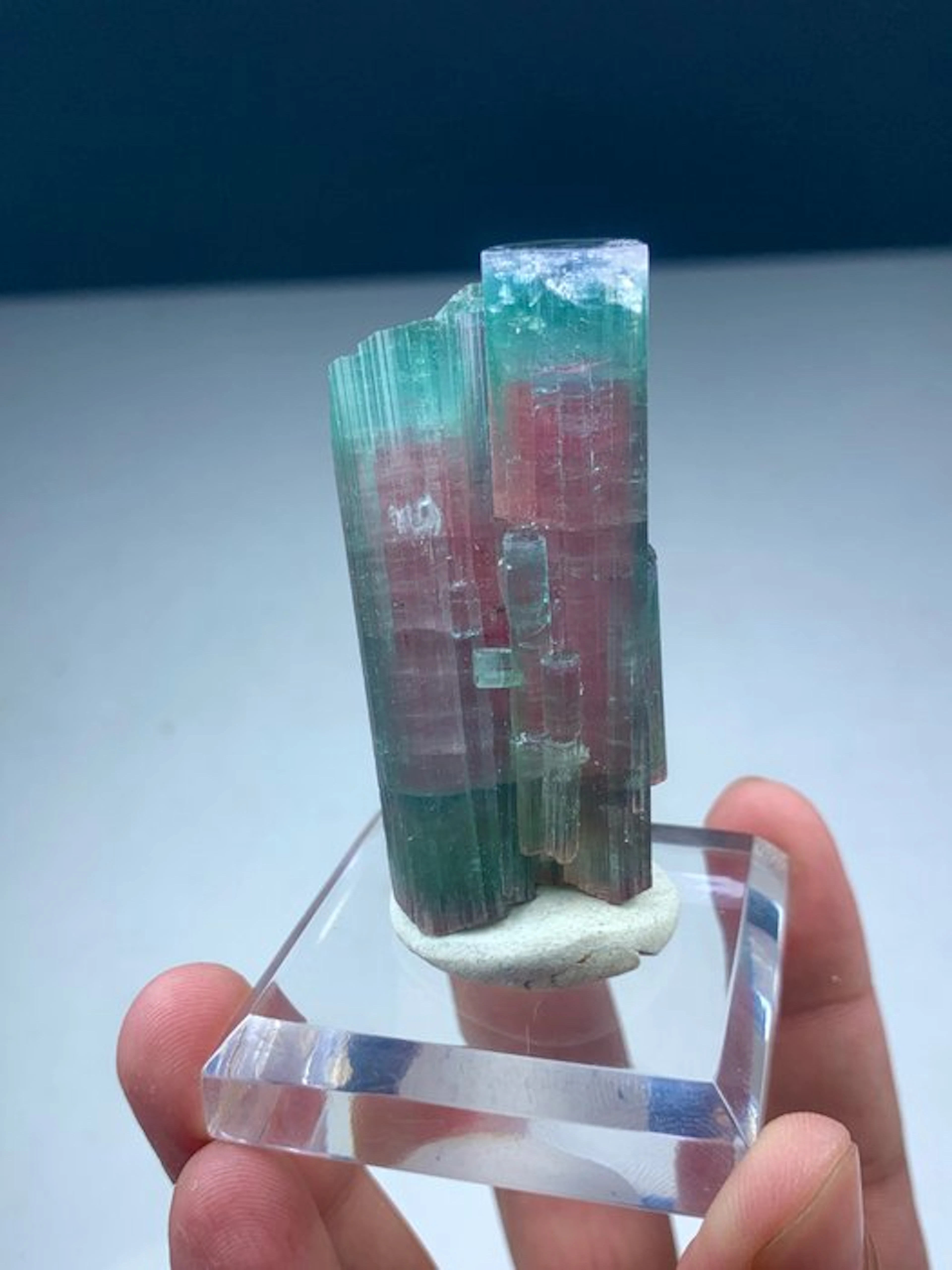 Bicolour DT tourmaline Crystal- 67 g - (1)