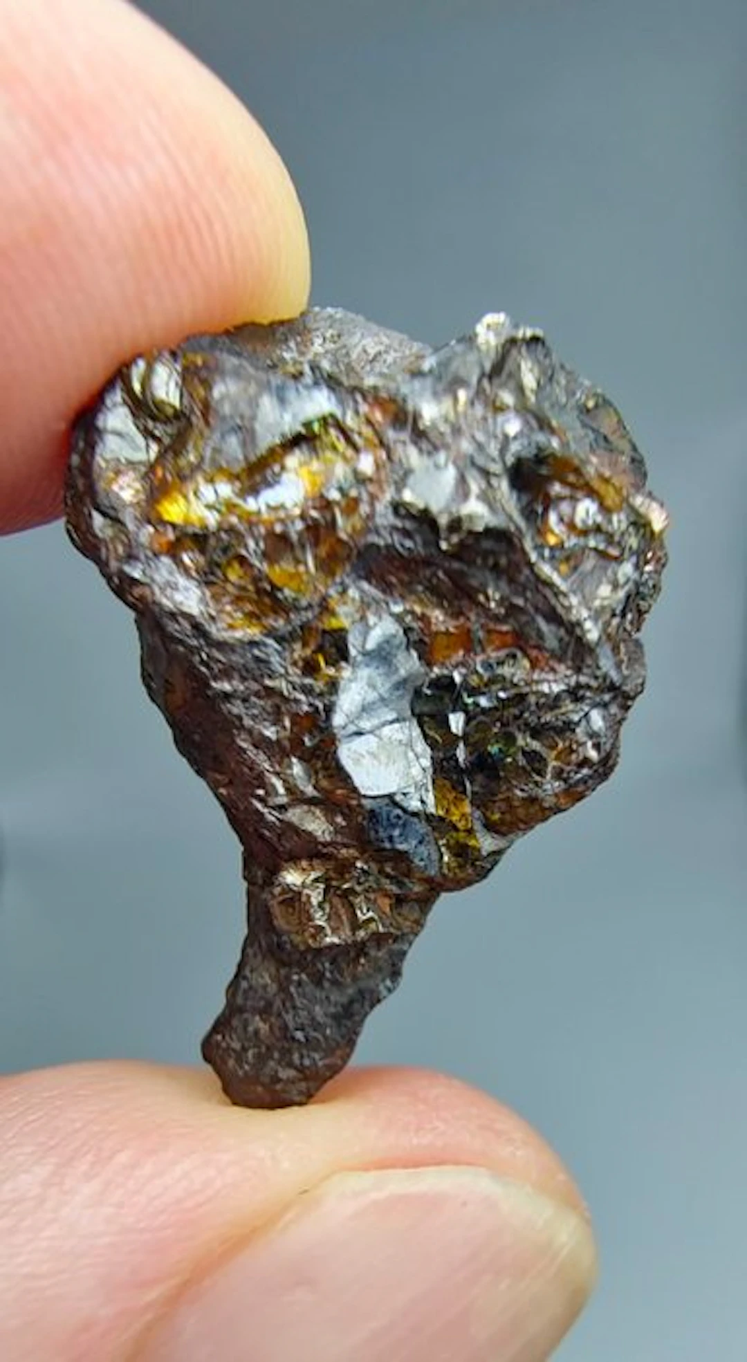 Pallasite Meteorite, NWA 16774. No reserve price. - 7.31 g
