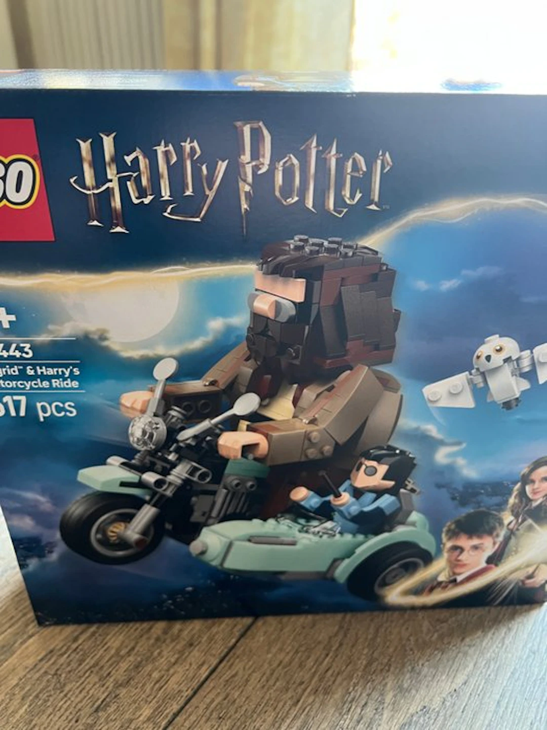 LEGO Set - 76443 - Harry Potter - Hagrid's & Harry's Motorcycle Ride