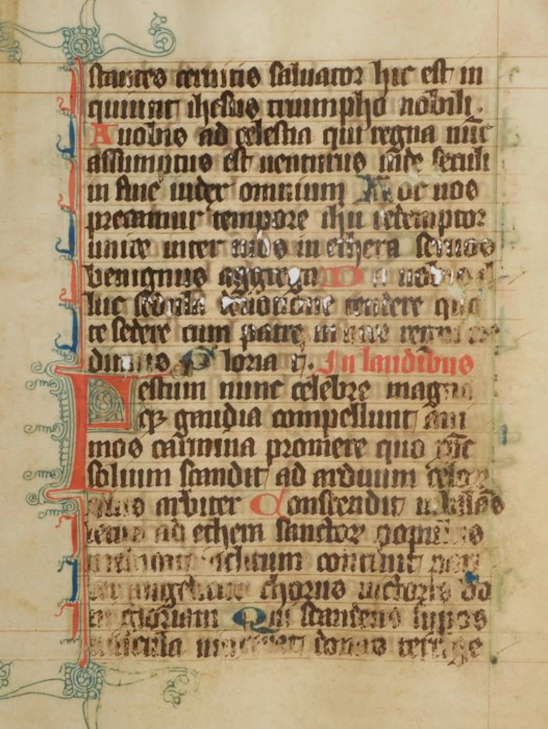 Manuscript - Original leaf from a latin breviary ca. 14th century - 1350