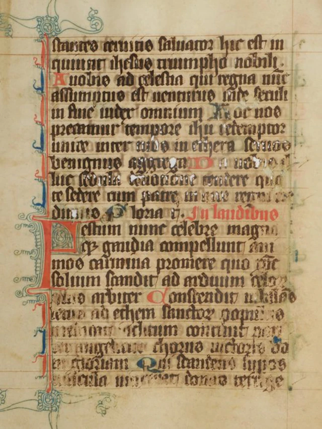 Manuscript - Original leaf from a latin breviary ca. 14th century - 1350