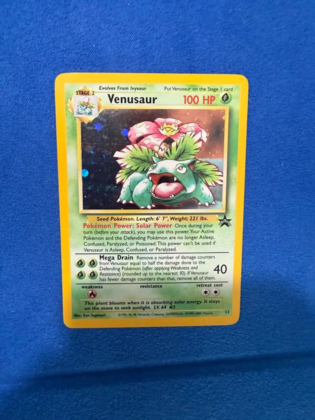 Pokémon - 1 Card - Venusaur 13 Foil - WOTC