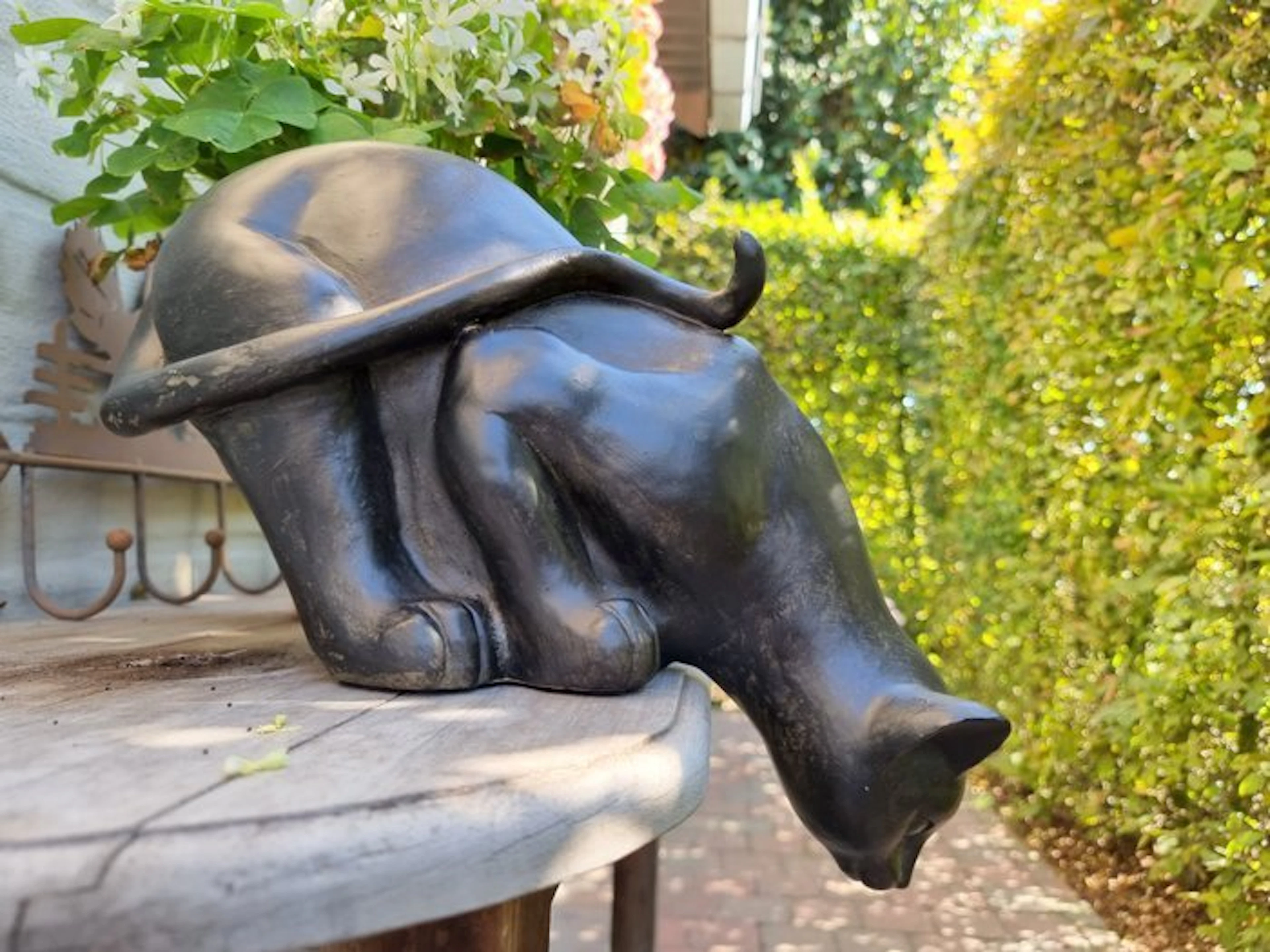 Figurine - Beeldje - Curious cat - Hars - Resin