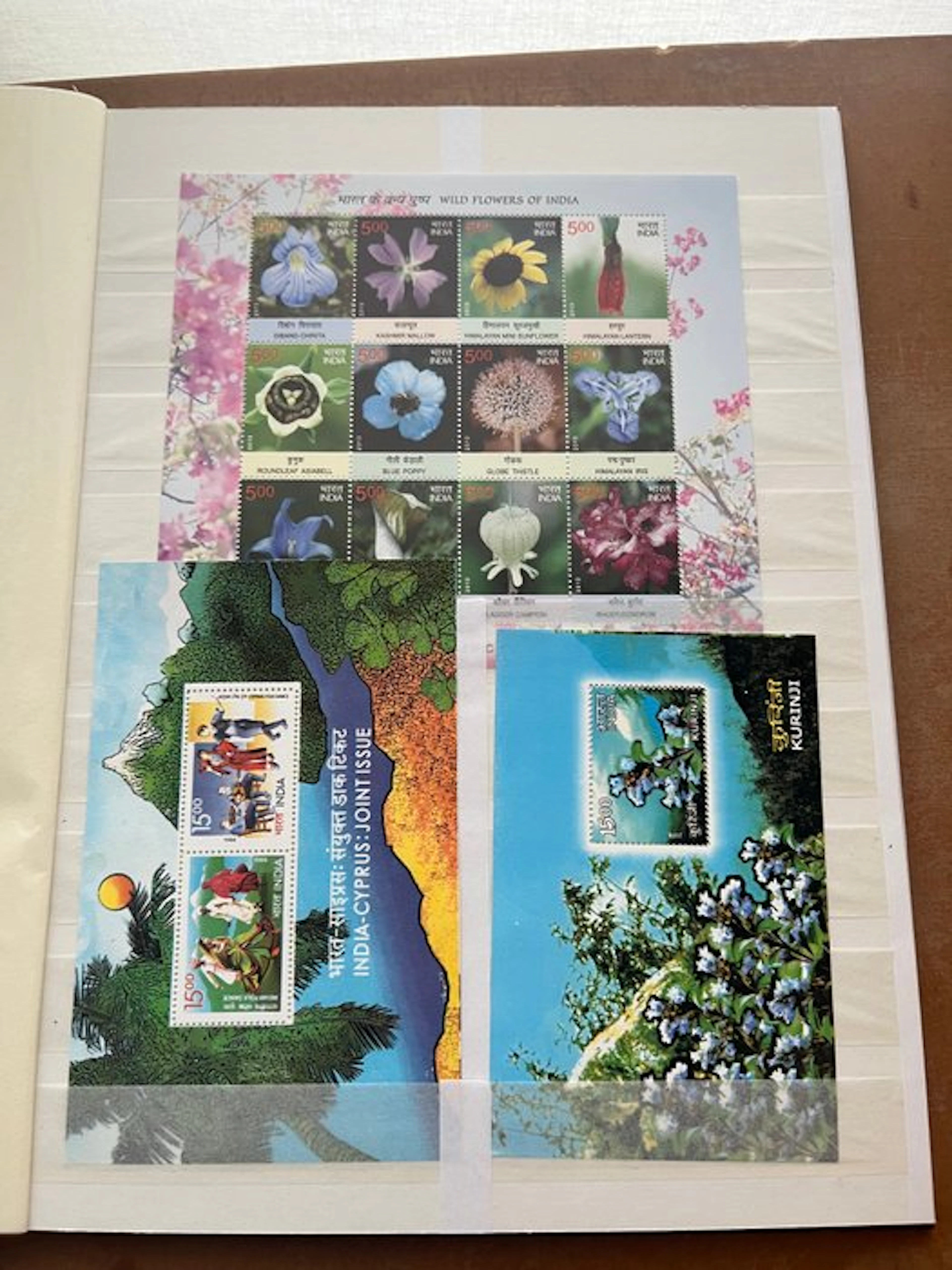 India 2000/2013 - Collection blocks as well as a few PZBs. - w.o. Blok I (2005)