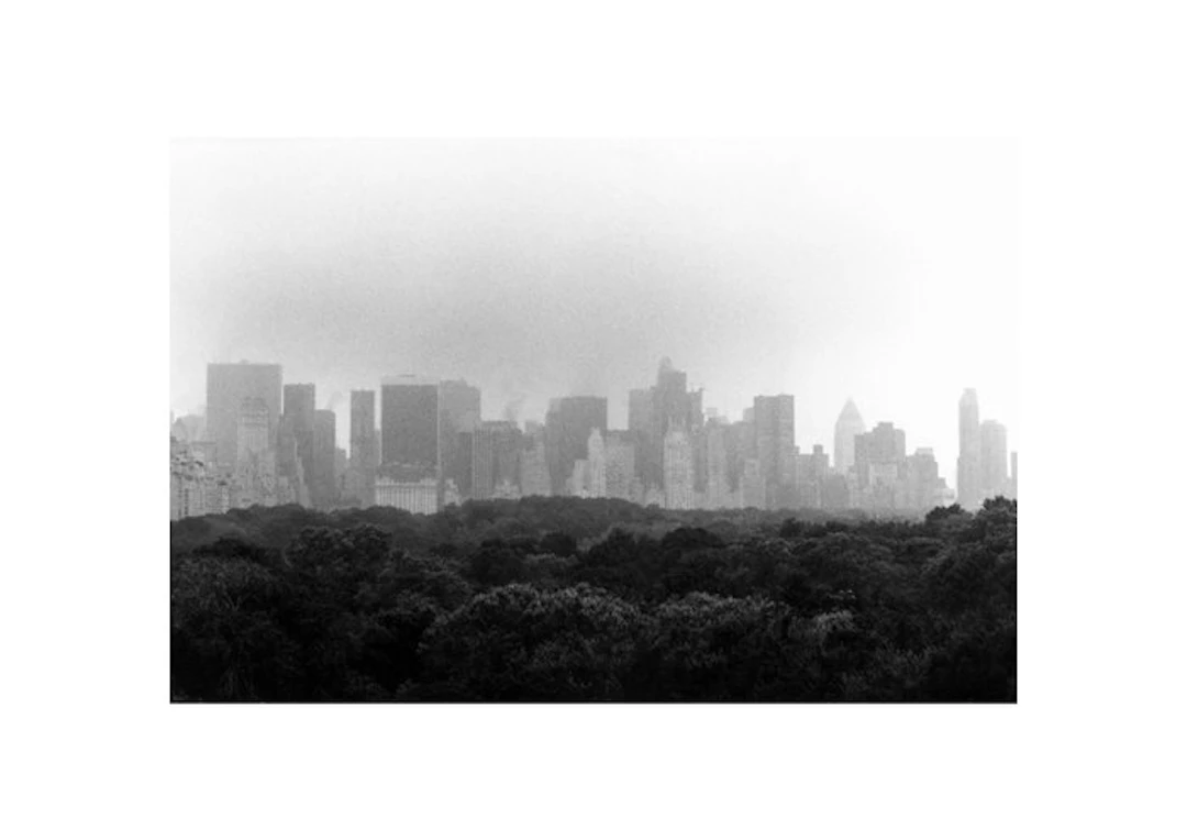 Markus Bronold - Central Parc
