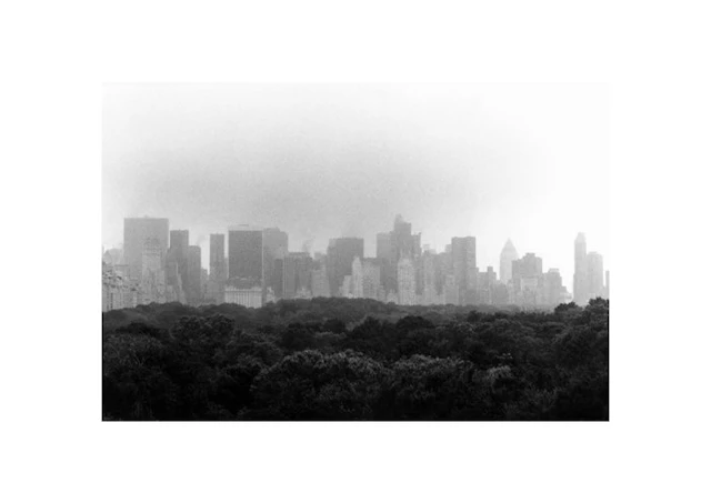 Markus Bronold - Central Parc