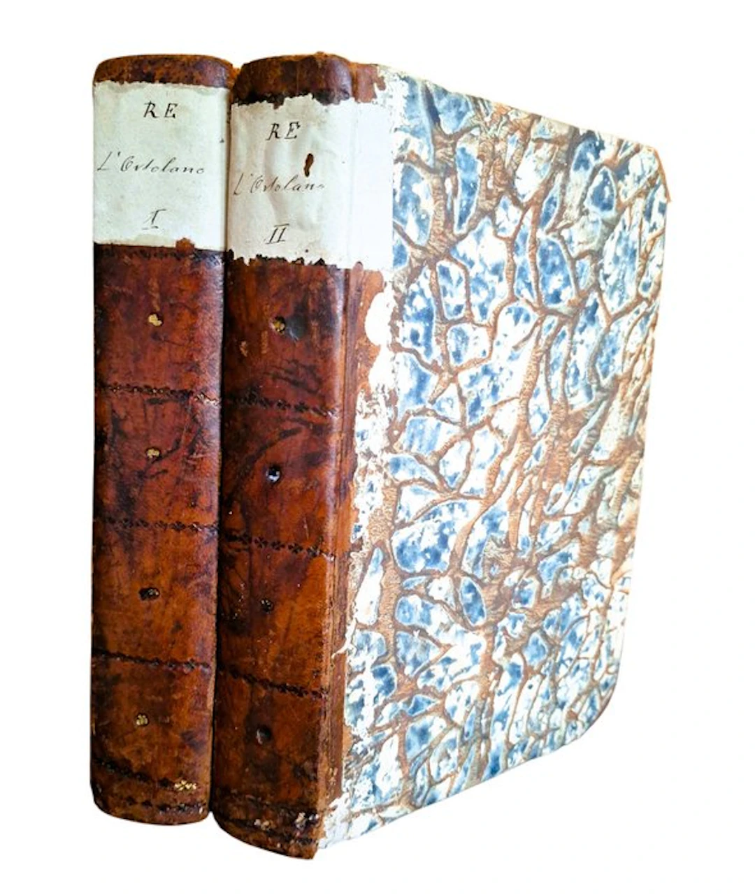 Re - L'Ortolano Dirozzato - 1811