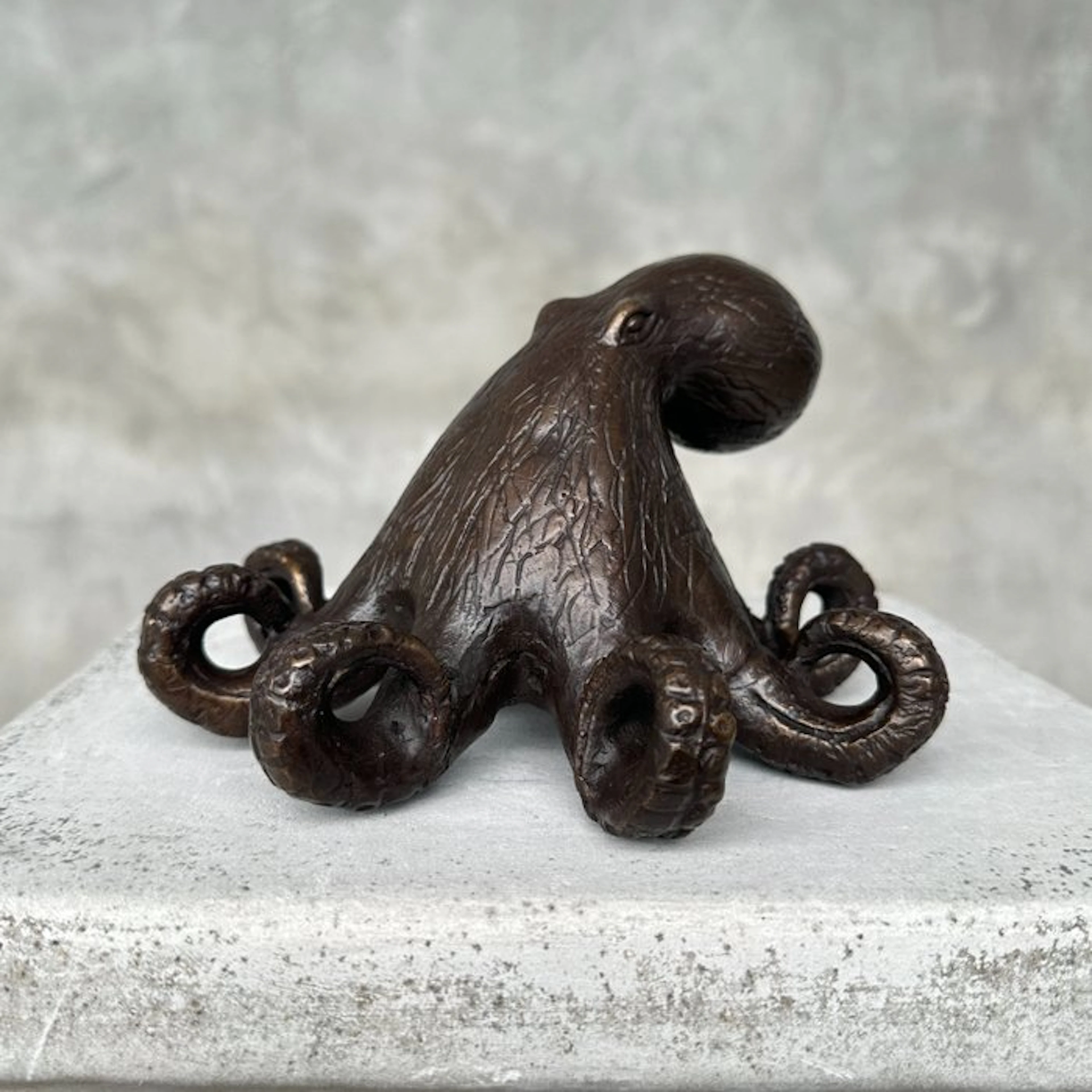 Statue, No Reserve Price - A Octopus Sculpture in Bronze - 11 cm - Bronze
