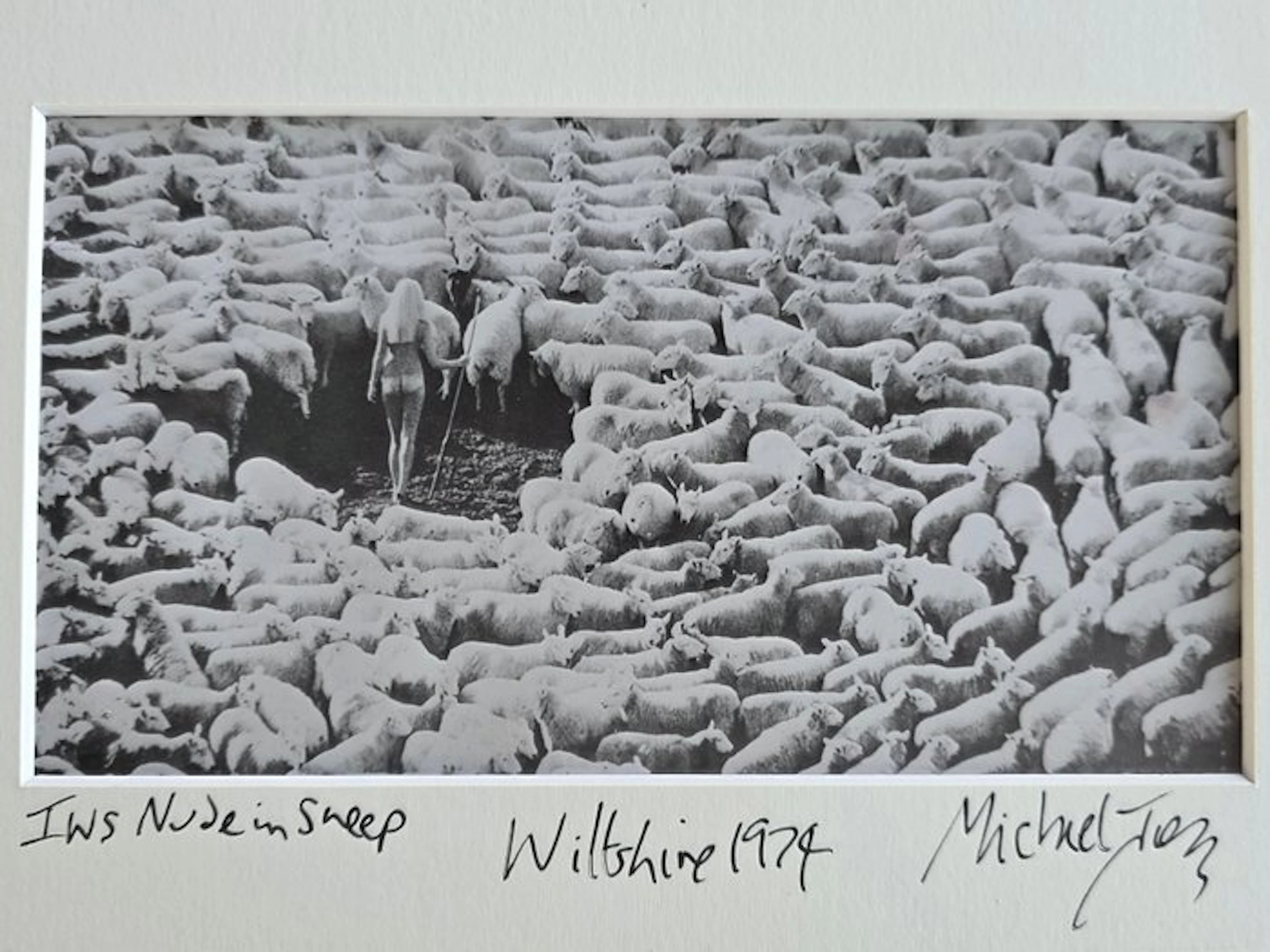 Michael Joseph (1941-) - Nude in sheep, small darkroom print by the