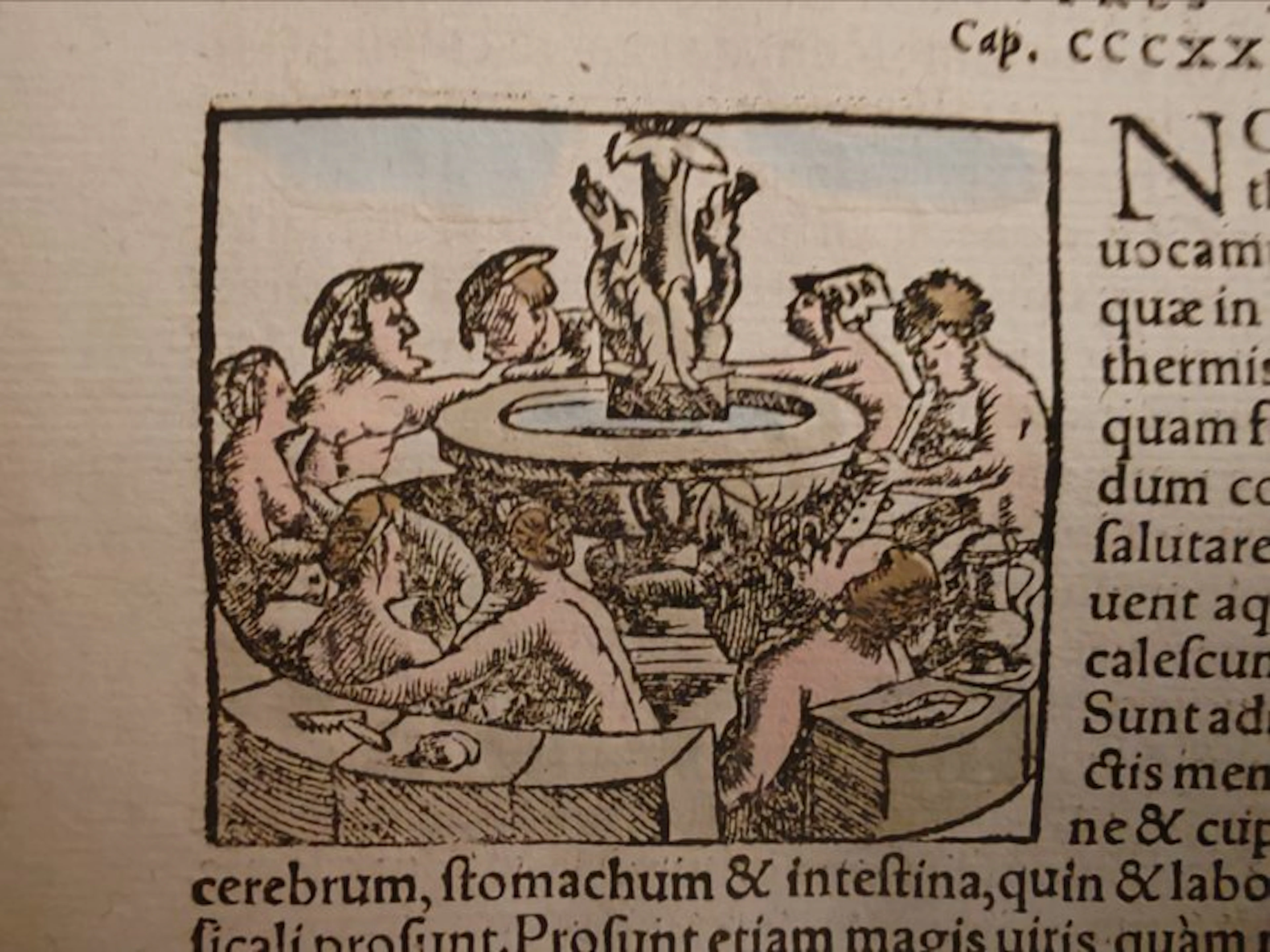 Sebastian Münster (1489–1552) - Cosmographia Universalis...