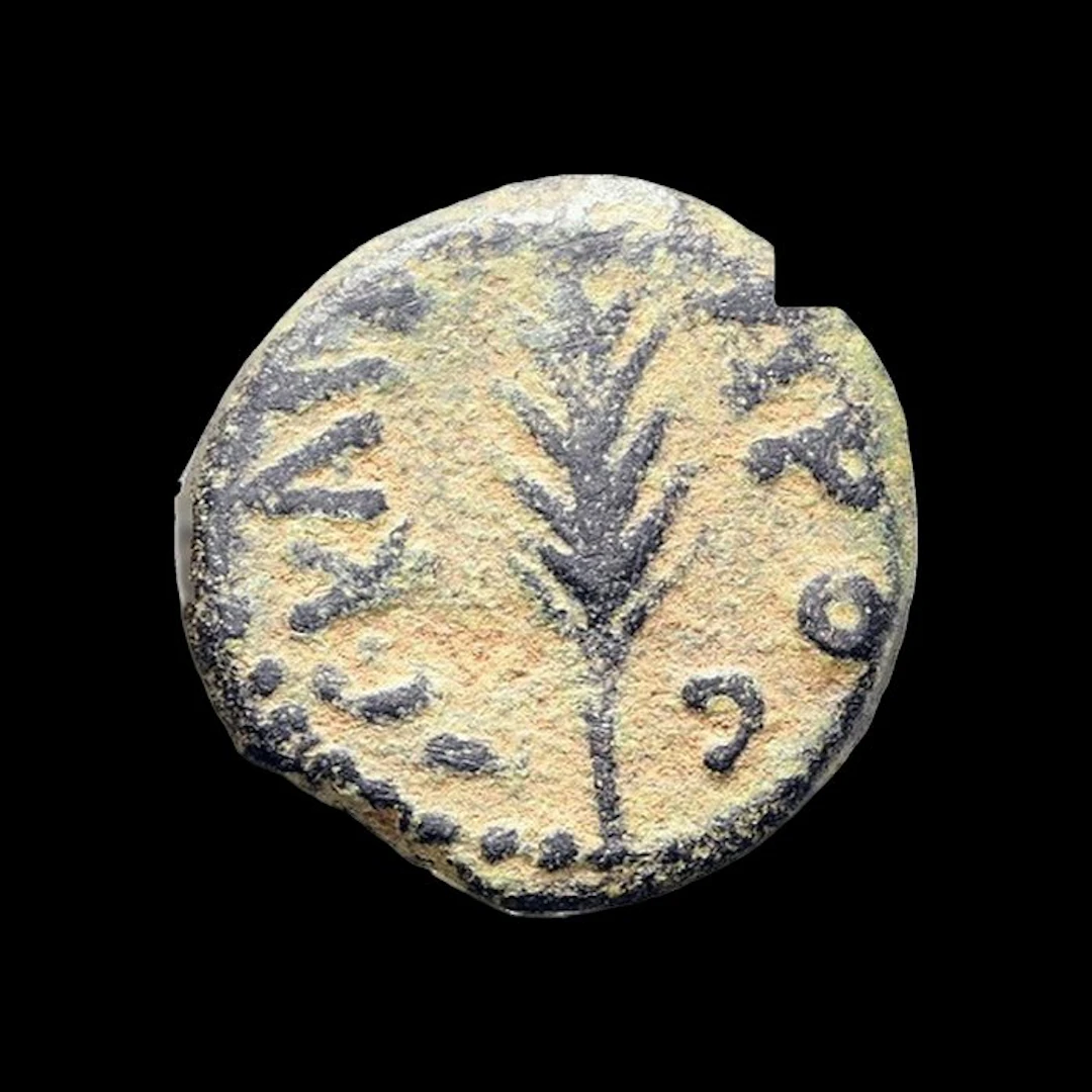 Judaea, Roman Governors. Porcius Festus (59-62 AD). Prutah (No reserve price)