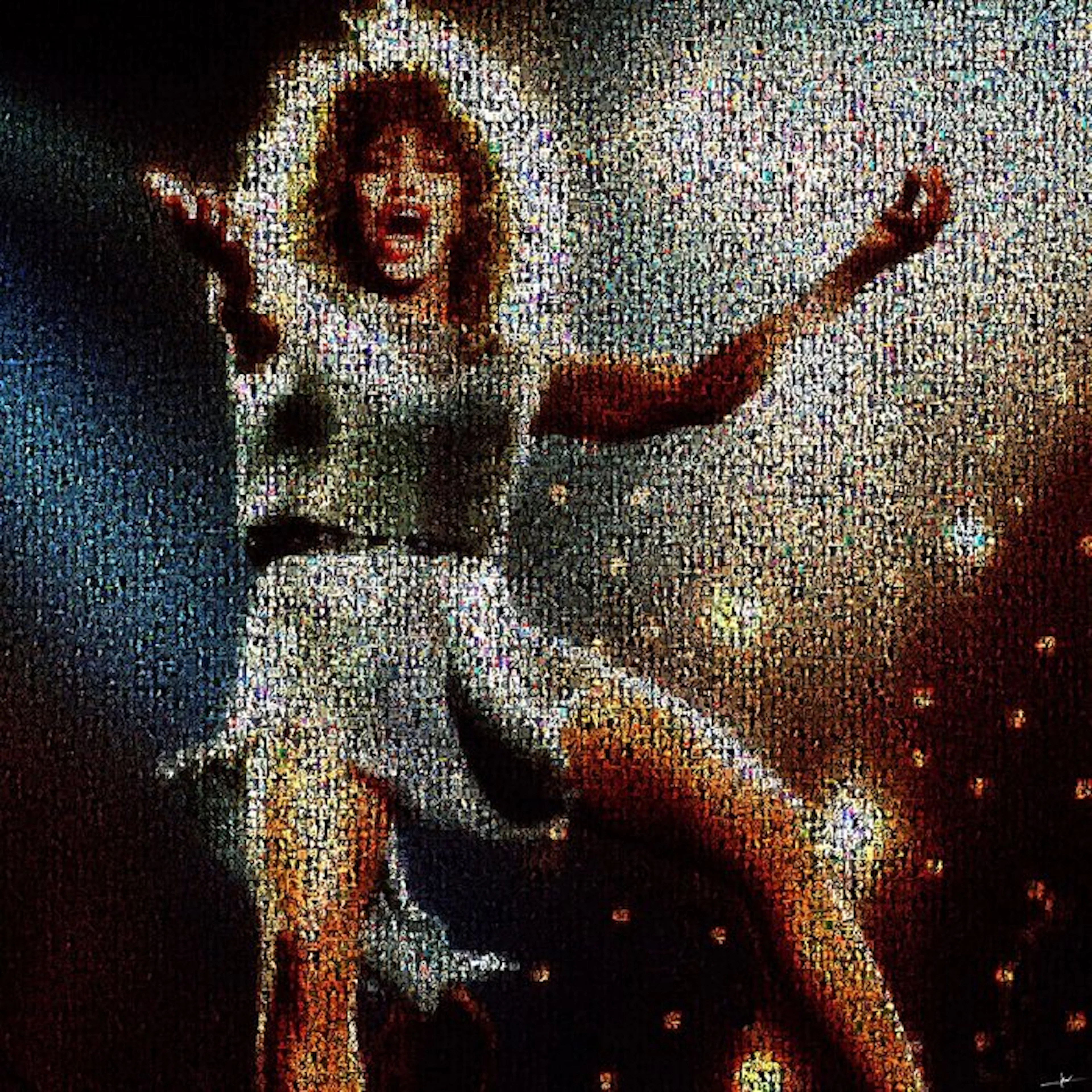 David Law - Crypto Tina Turner II - Format XL 60x60