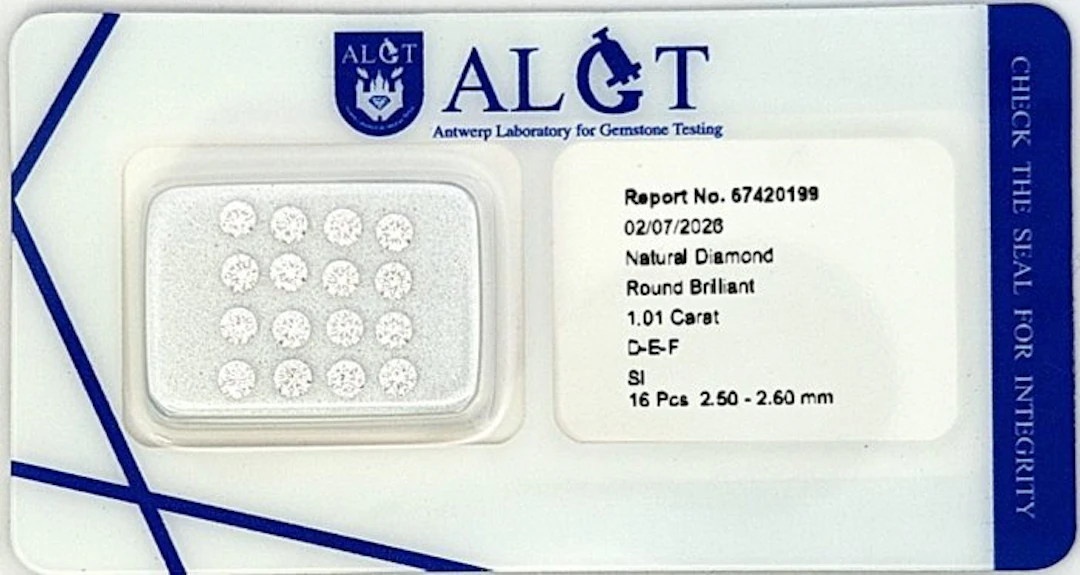 16 pcs Diamond (Natural) - 1.01 ct - Round - F