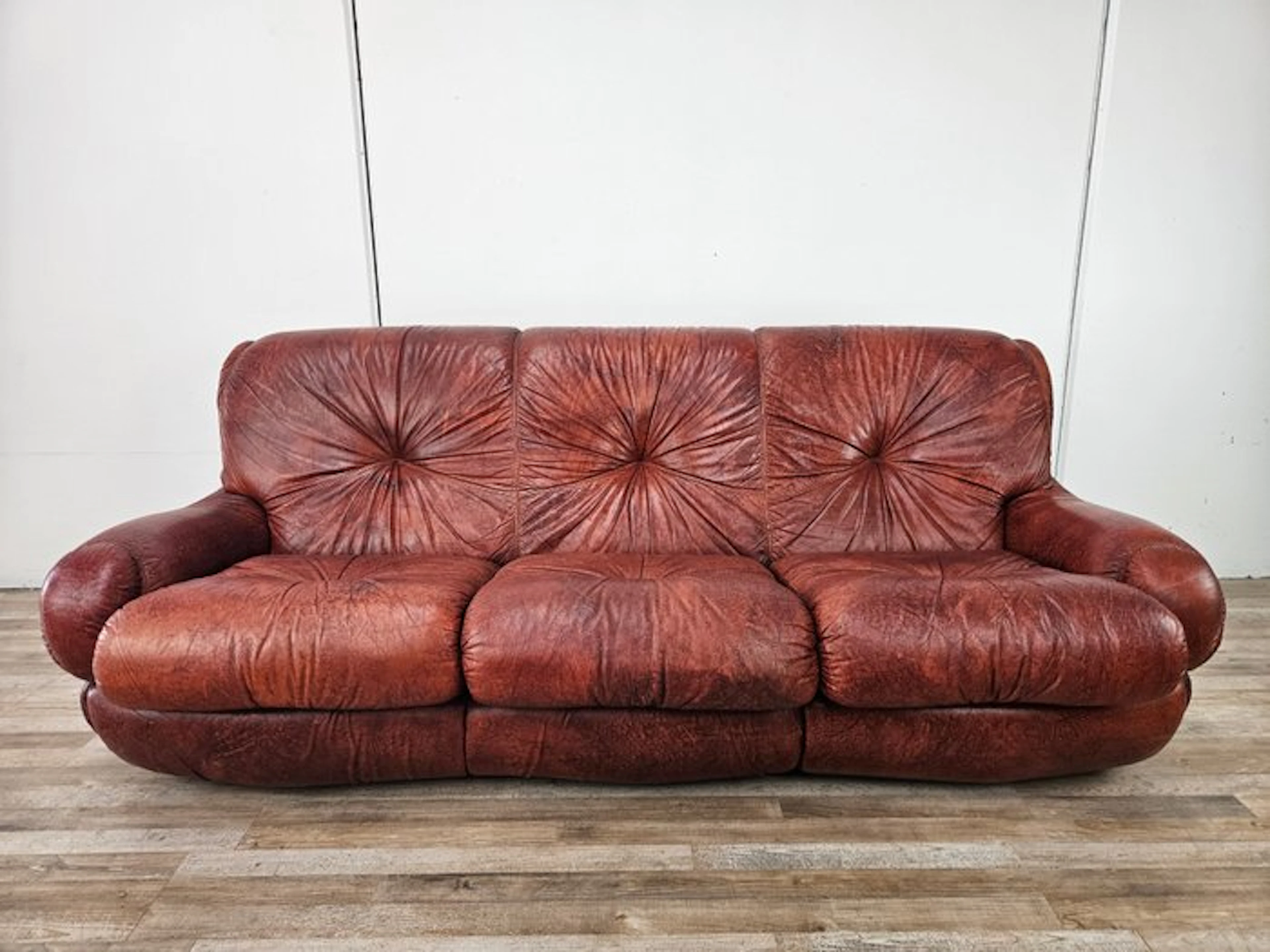 Seven Salotti - Sofa - Divano Topp in burgundy leather by...