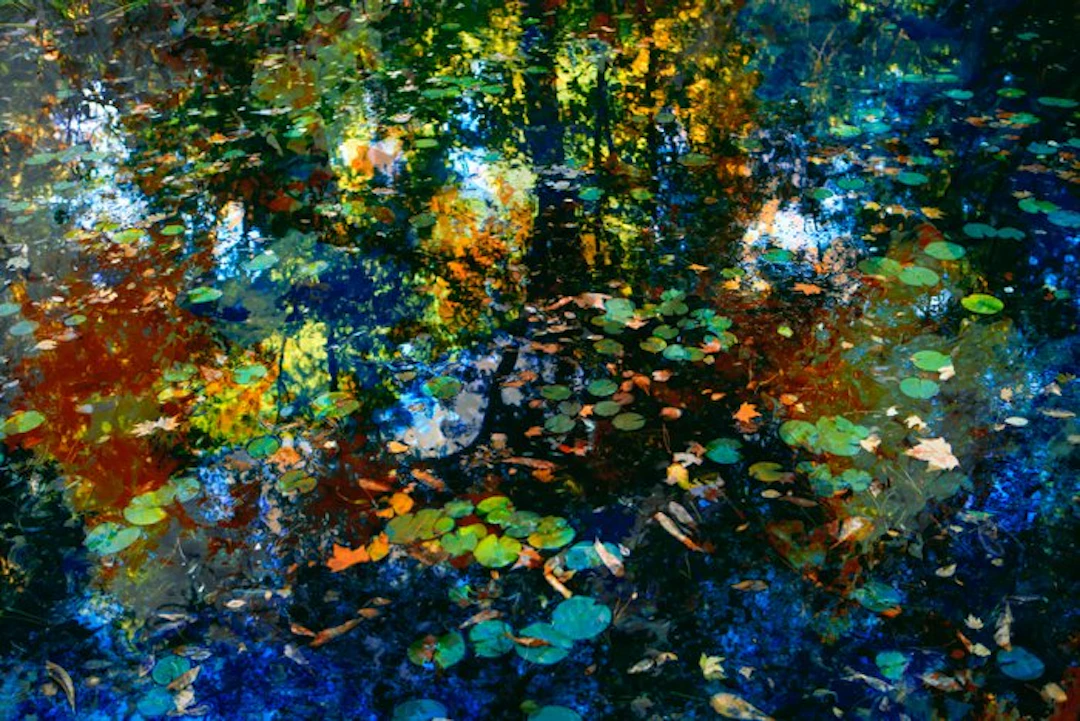 Viet Ha Tran - The breath of autumn (2018)