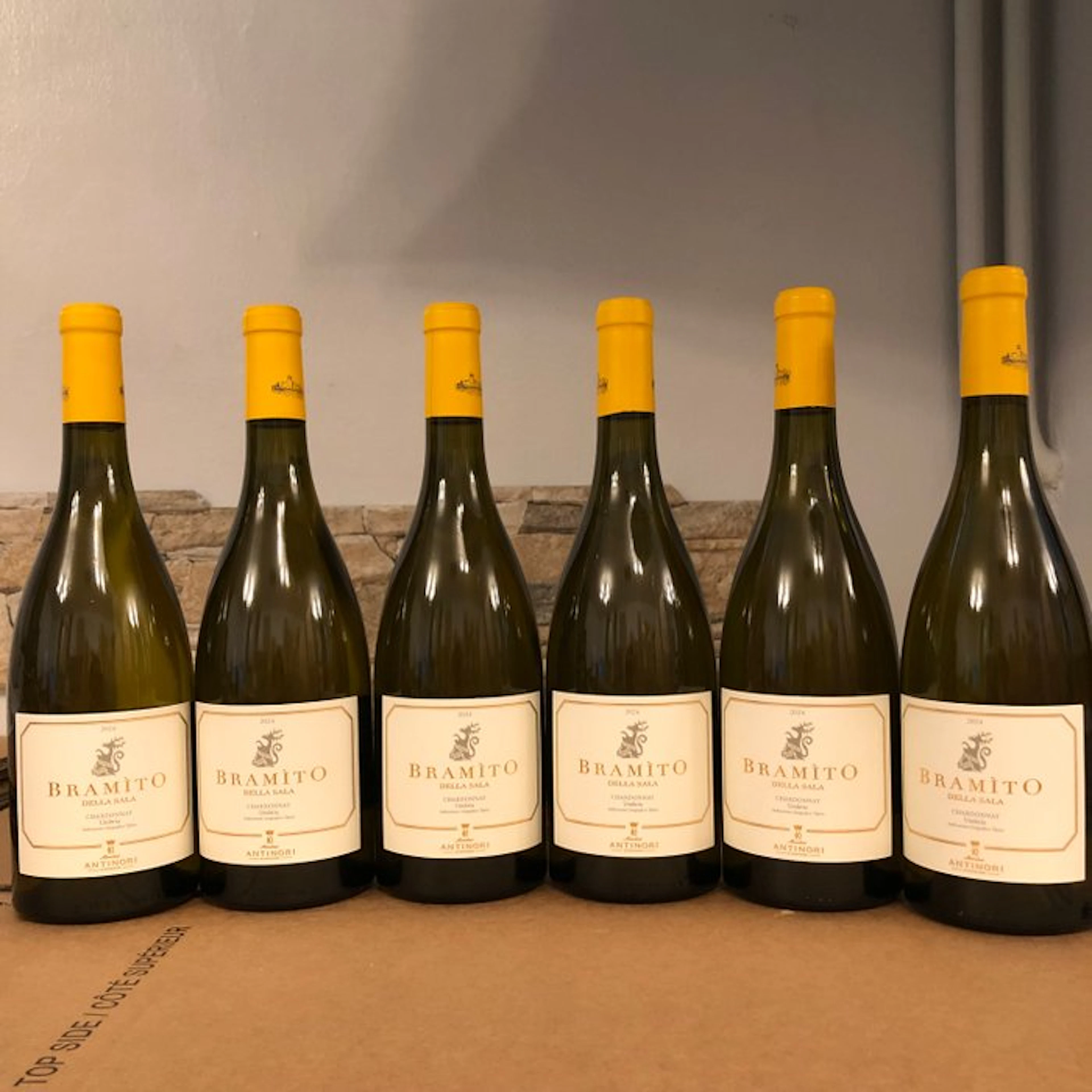 2025 Antinori
