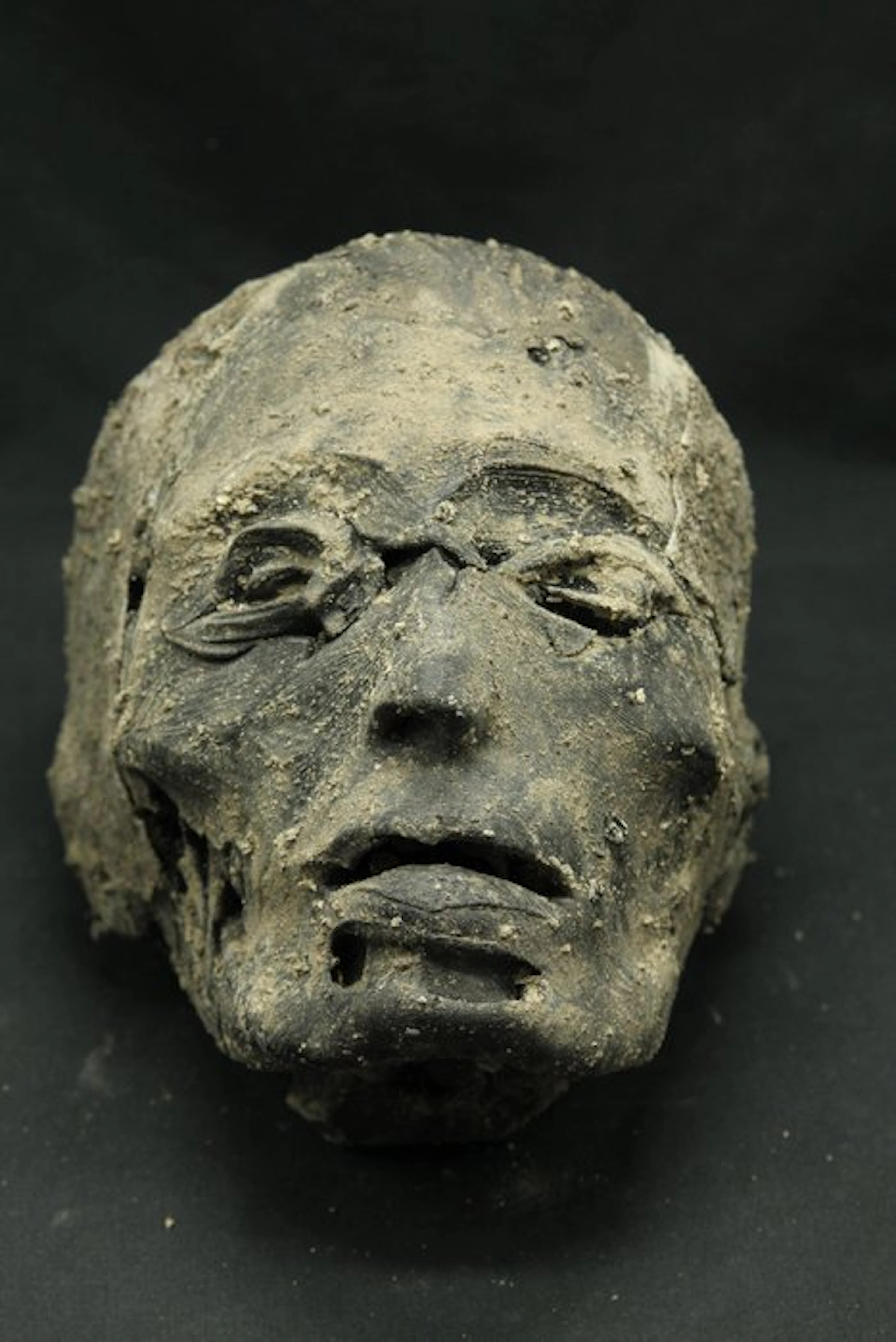 Handcrafted Mummy Head - Memento Mori / Cabinet of...