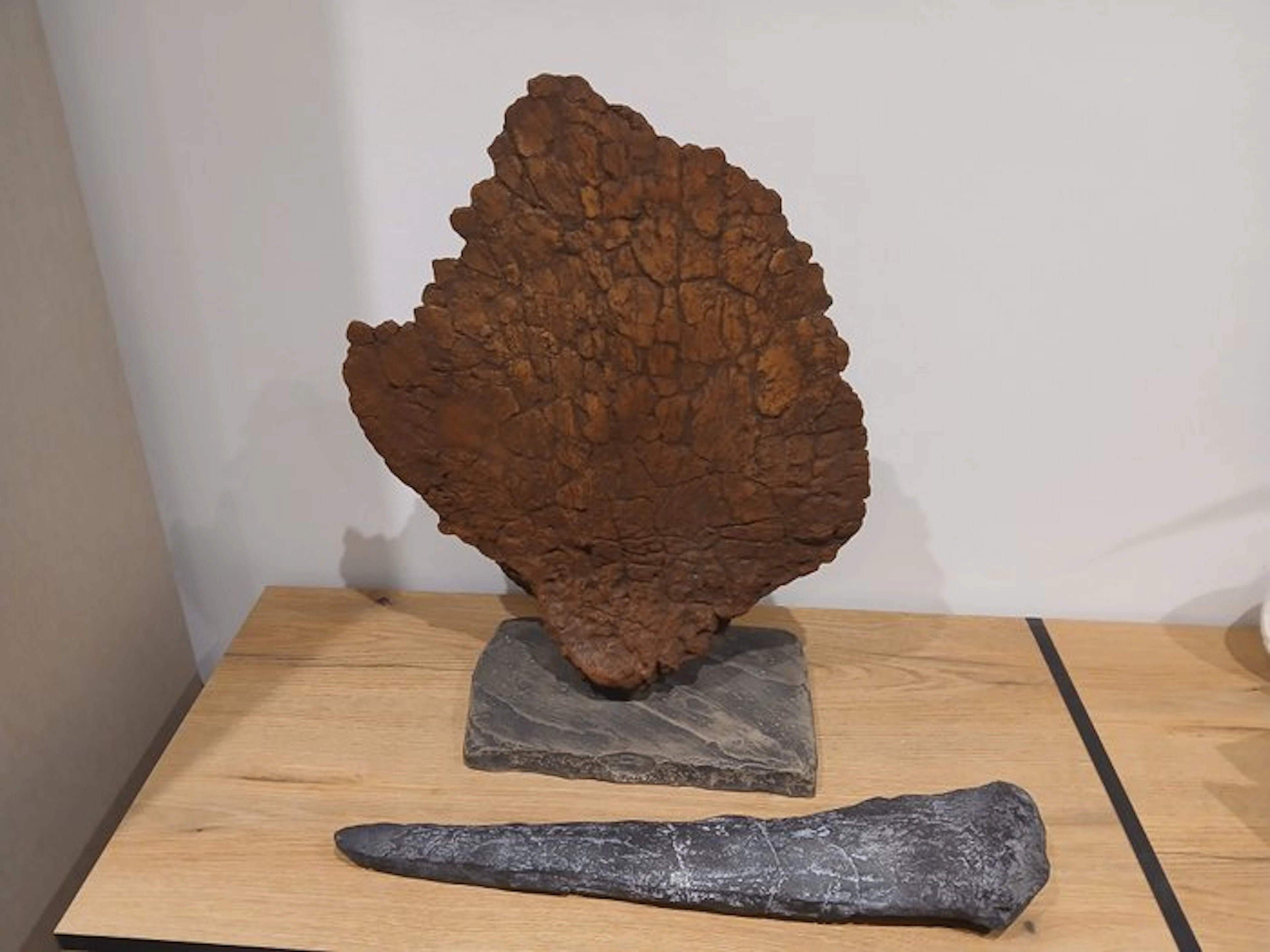 Lot of 2 replicas of Stegosaurus dorsal spines and plates...